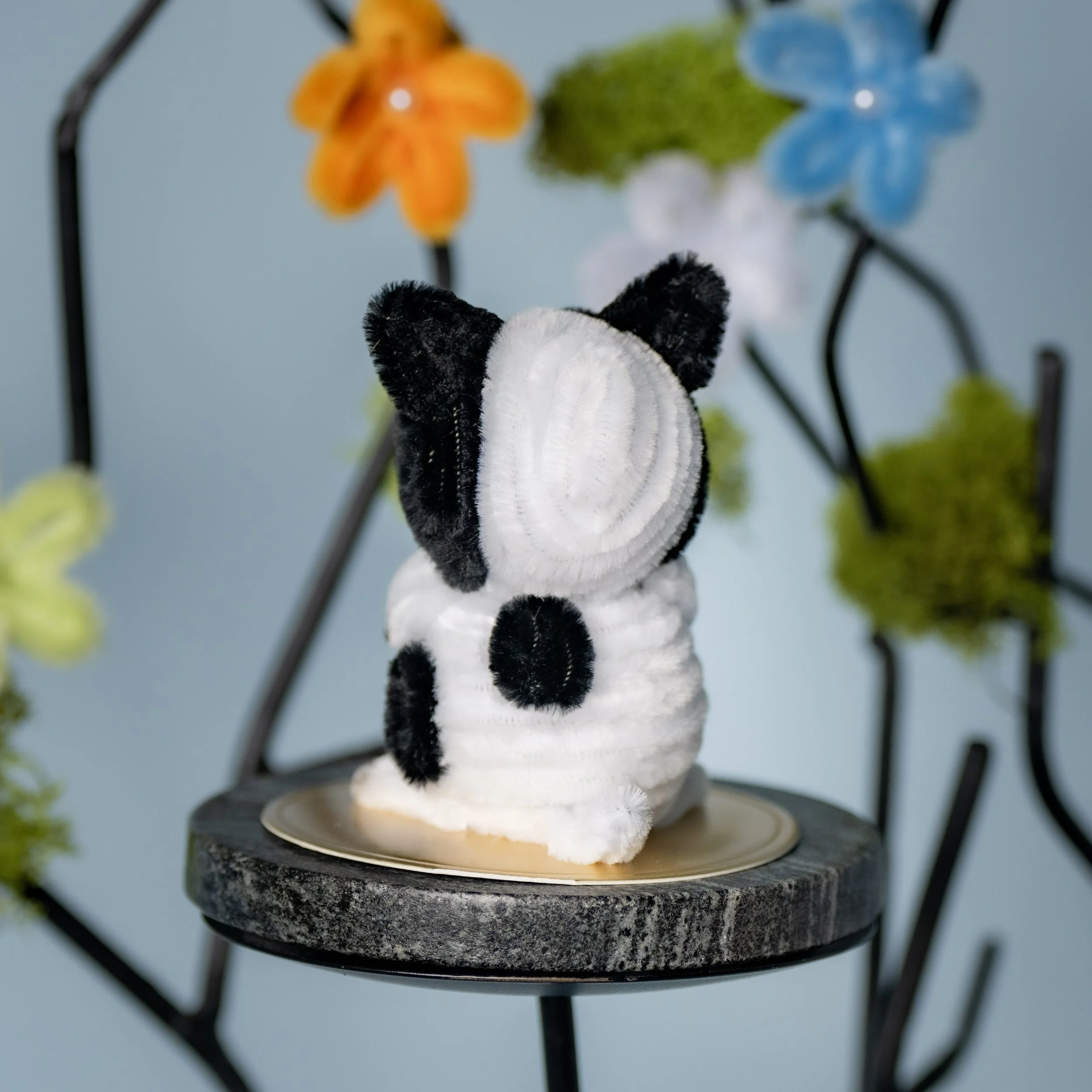 New Animal 5-15-2026 -151.jpg