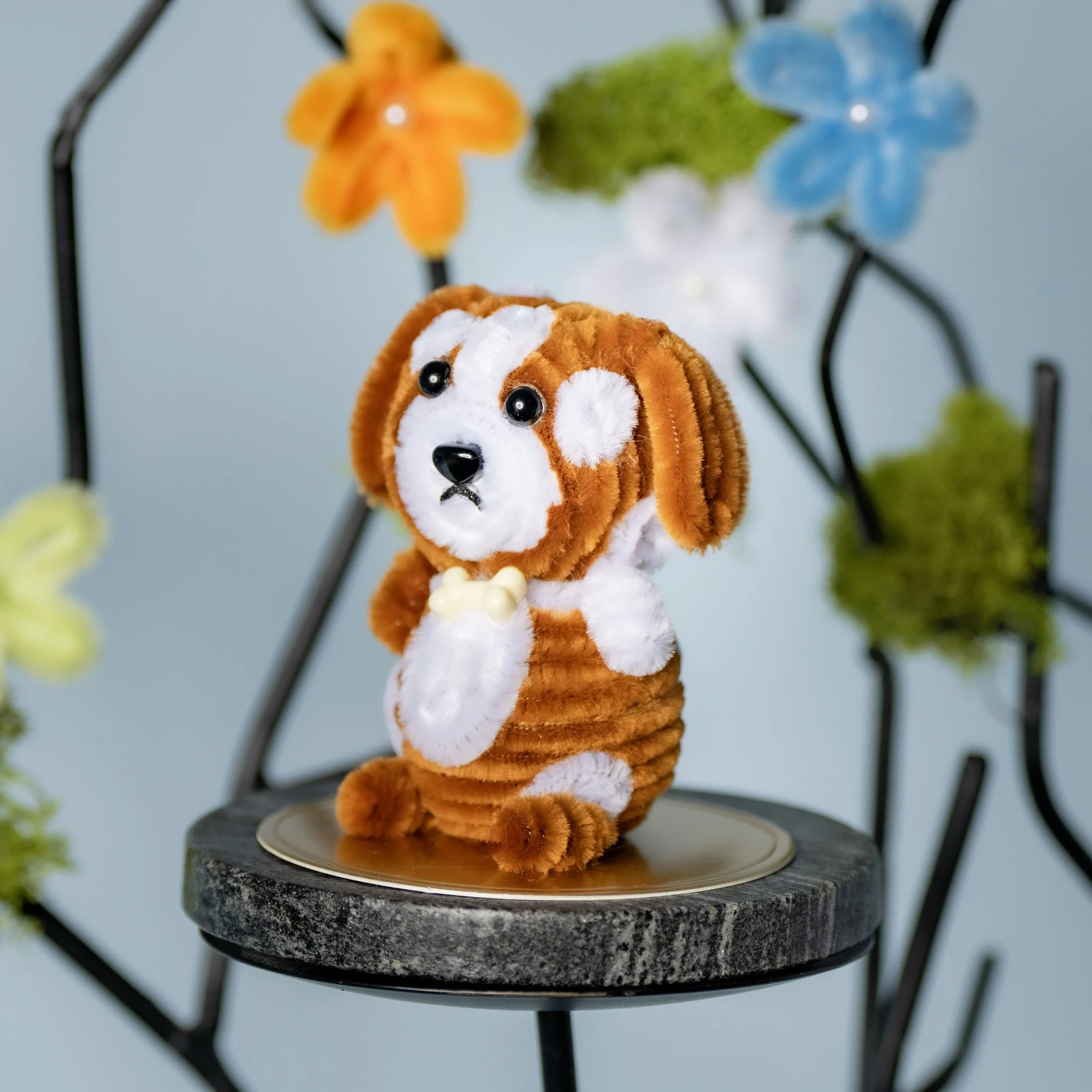 New Animal 5-15-2026 -137.jpg
