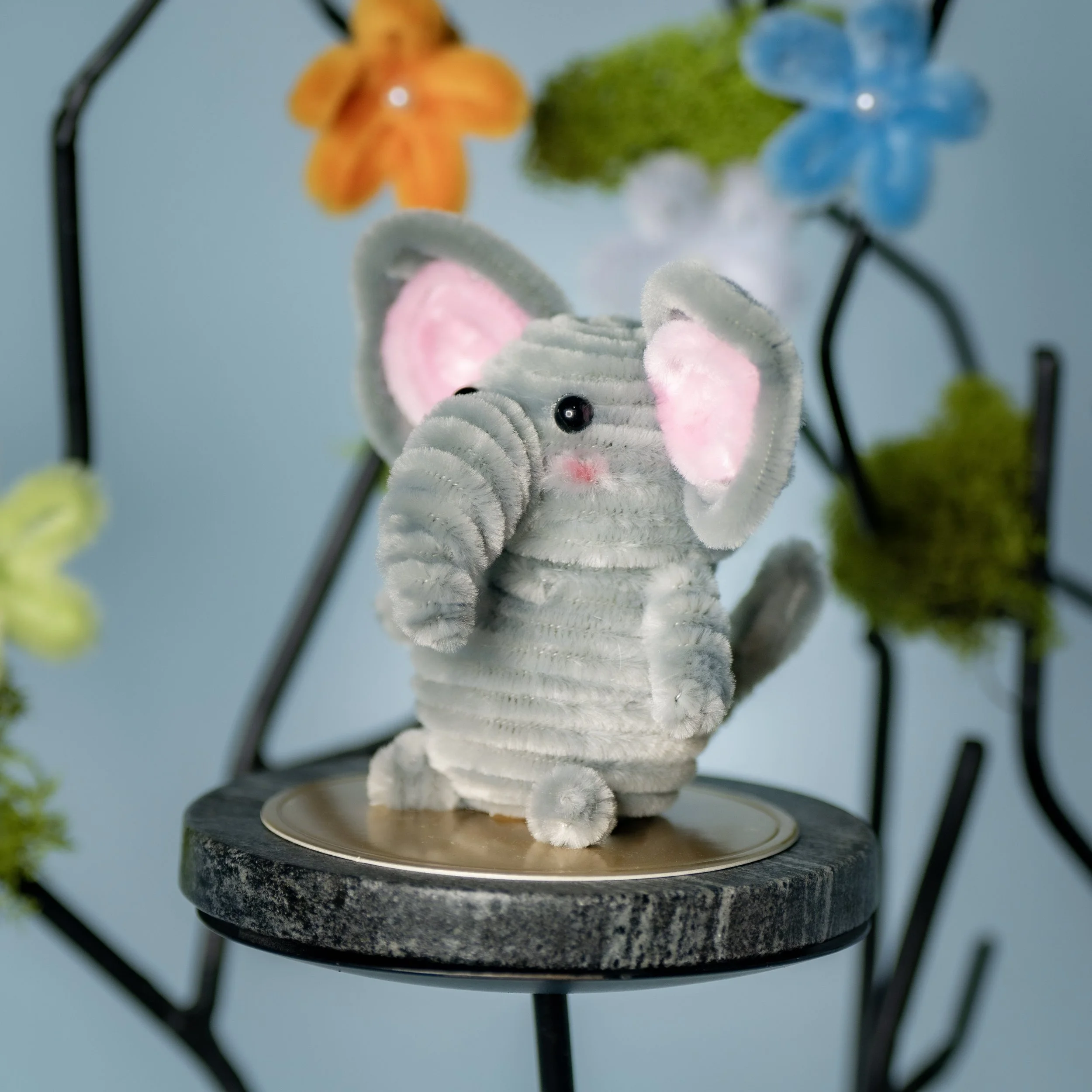 New Animal 5-15-2026 -61.jpg