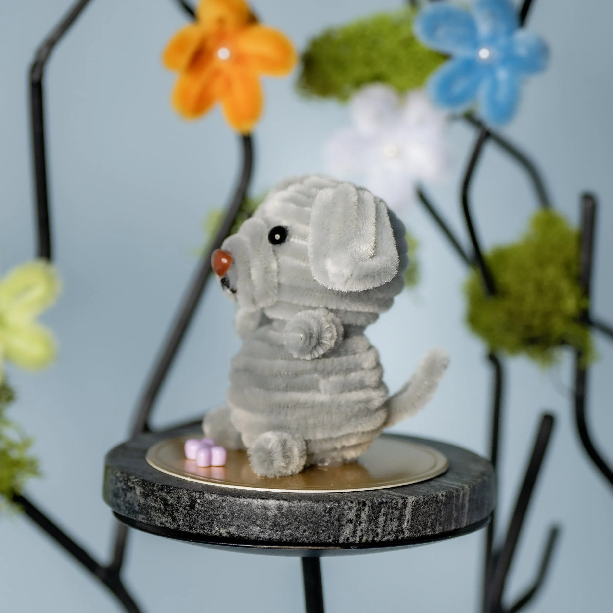 New Animal 5-15-2026 -142.jpg