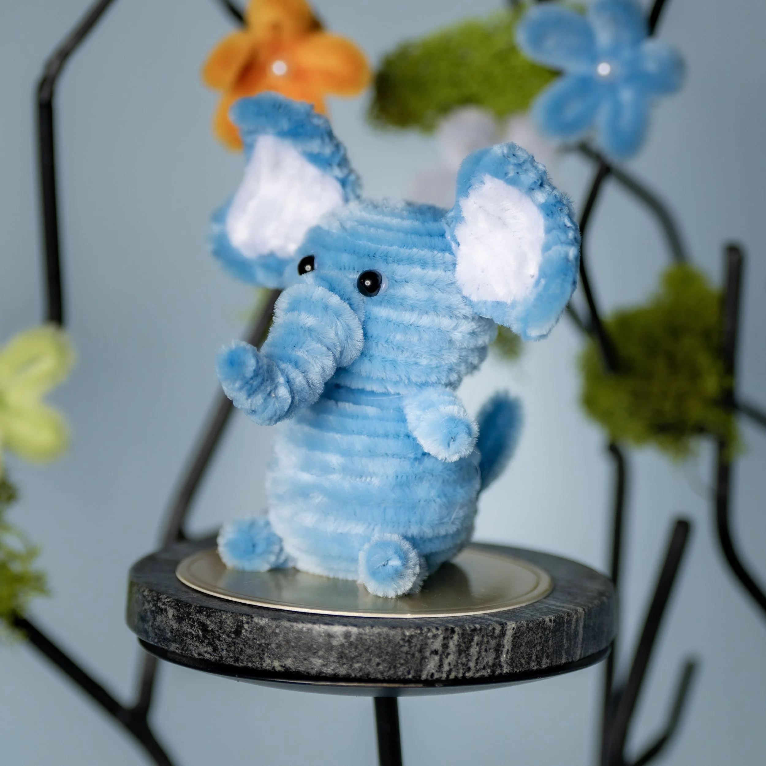 New Animal 5-15-2026 -64.jpg