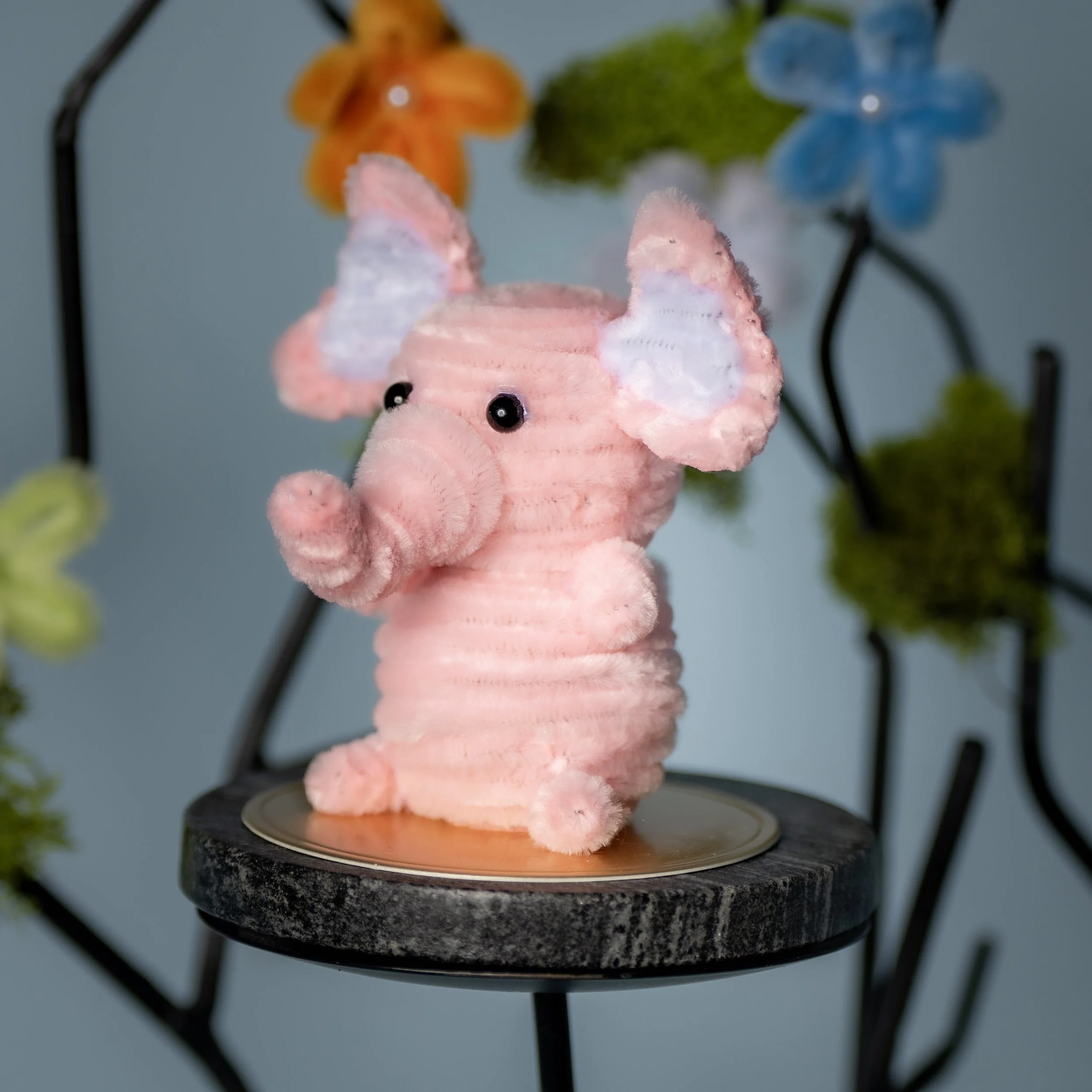 New Animal 5-15-2026 -58.jpg
