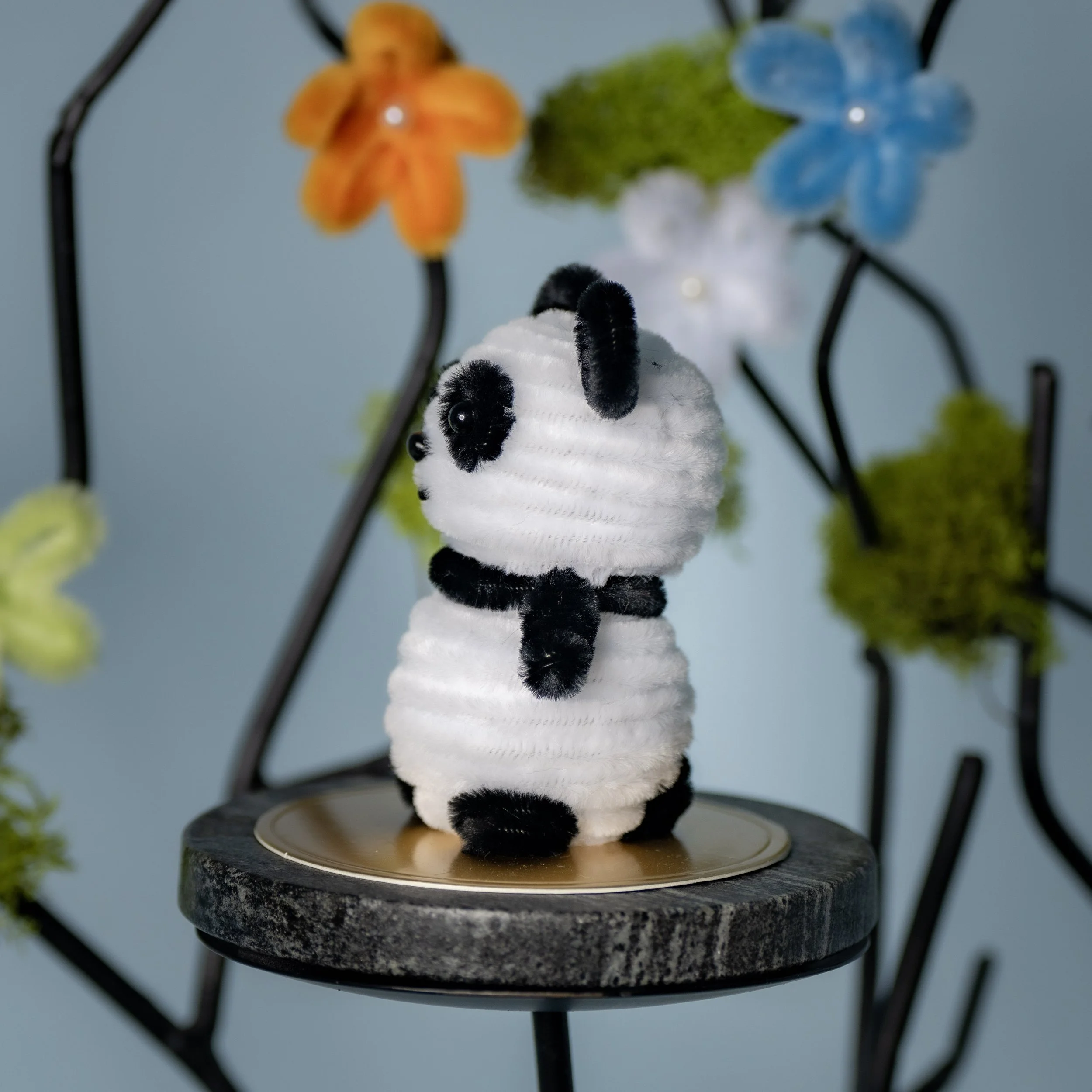 New Animal 5-15-2026 -79.jpg