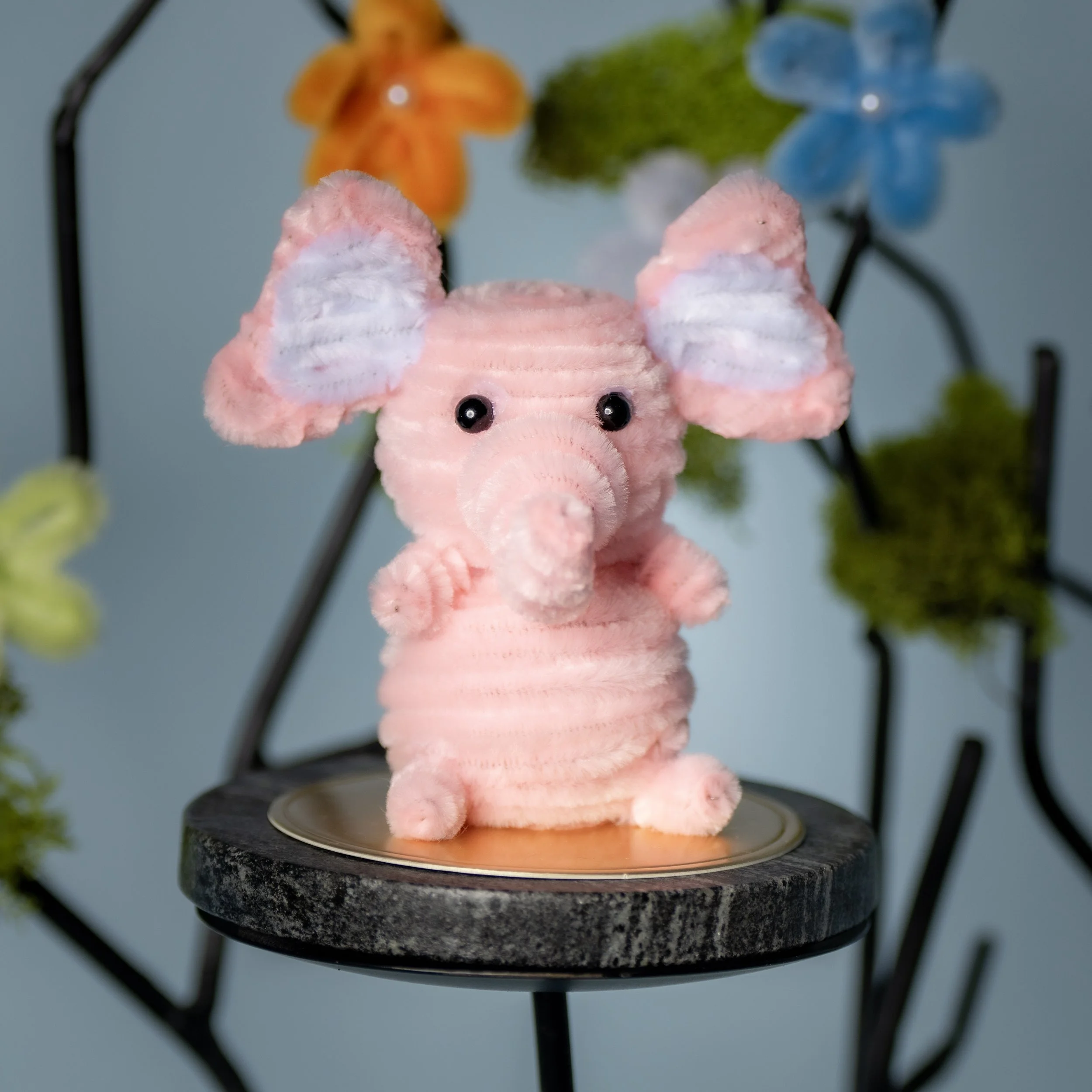 New Animal 5-15-2026 -57.jpg