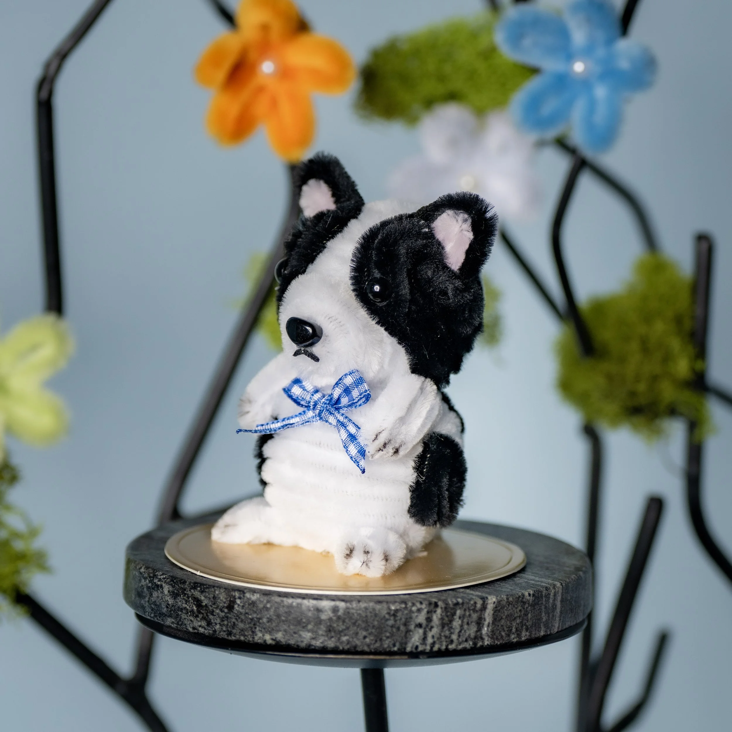 New Animal 5-15-2026 -149.jpg