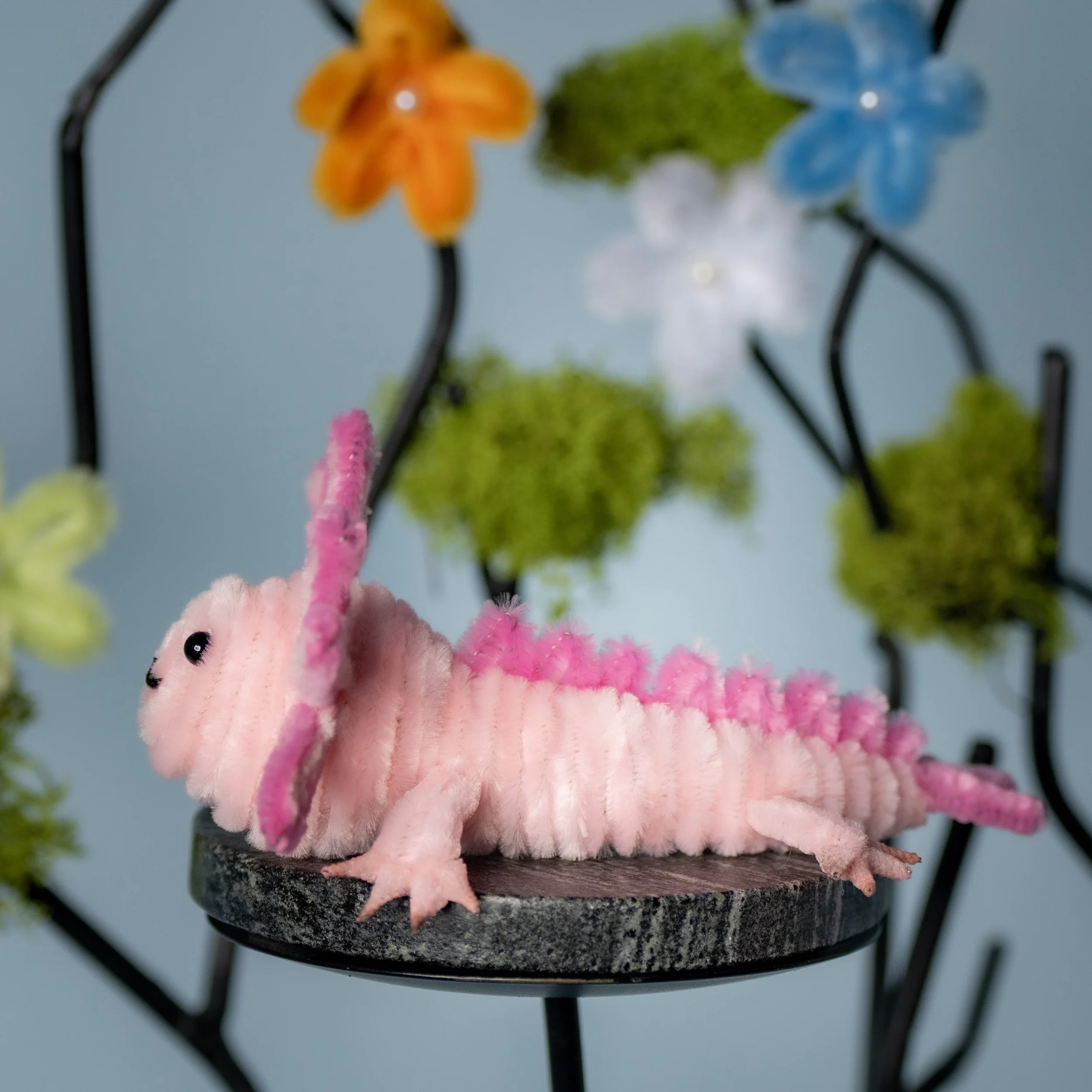 New Animal 5-15-2026 -158.jpg