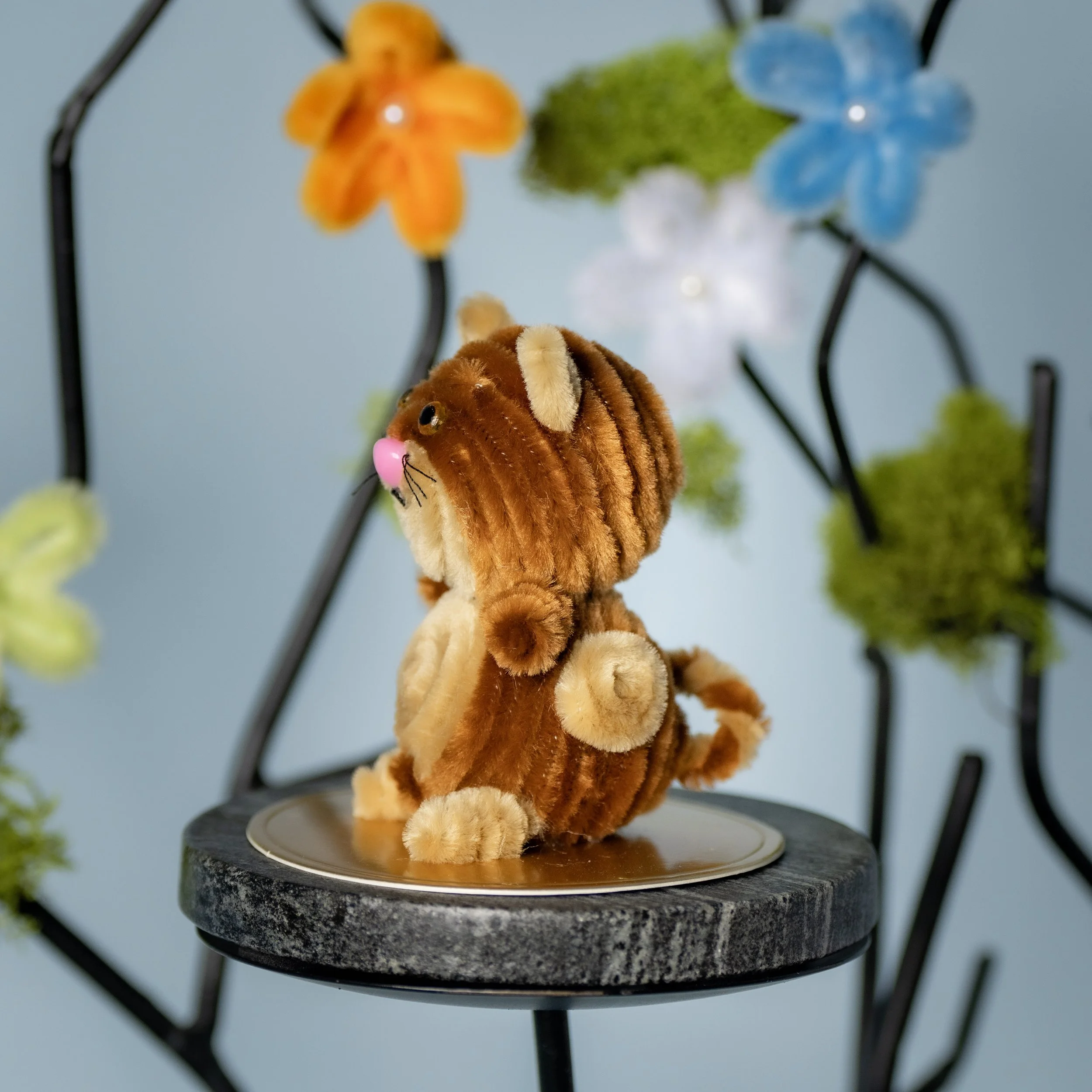 New Animal 5-15-2026 -98.jpg