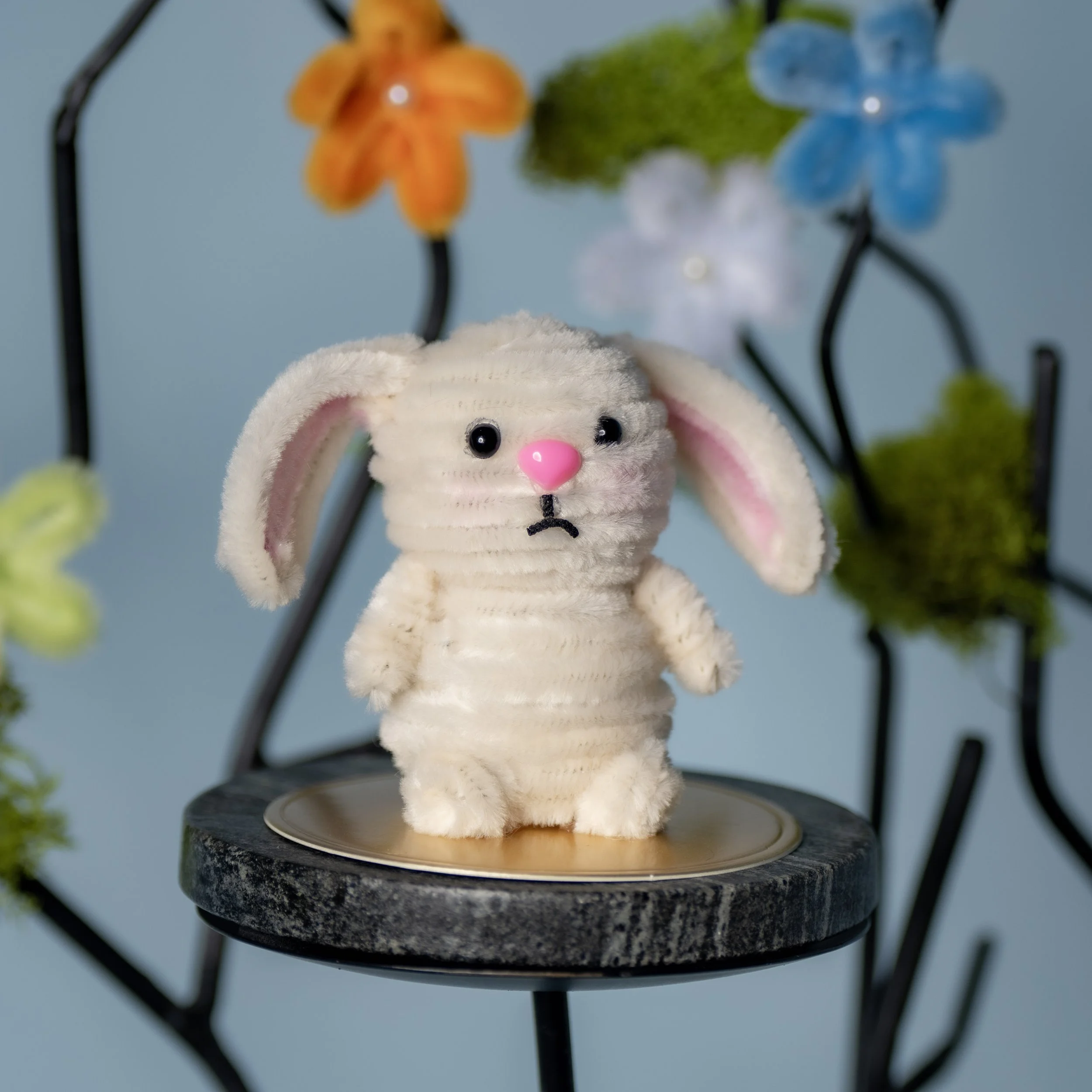 New Animal 5-15-2026 -45.jpg