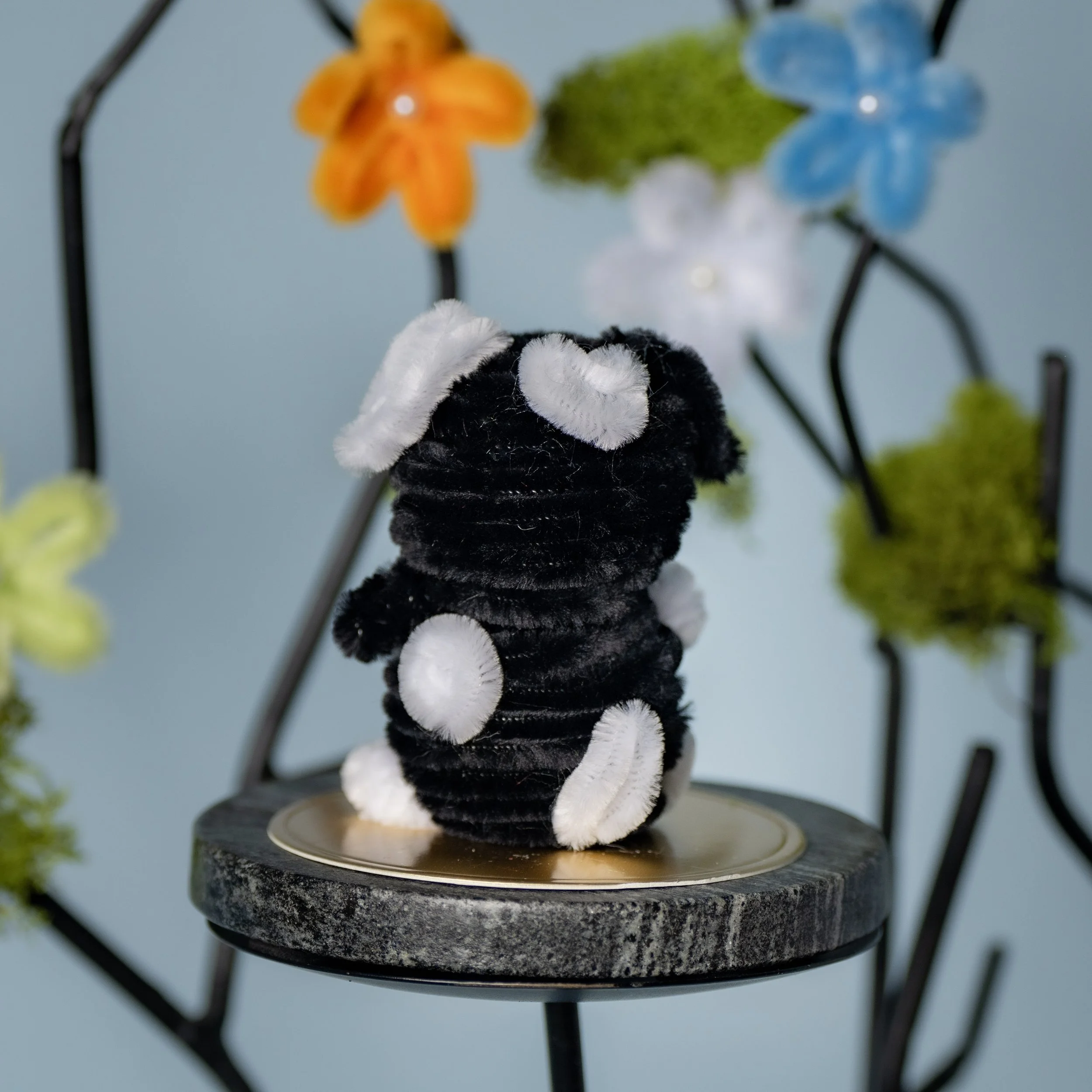 New Animal 5-15-2026 -155.jpg