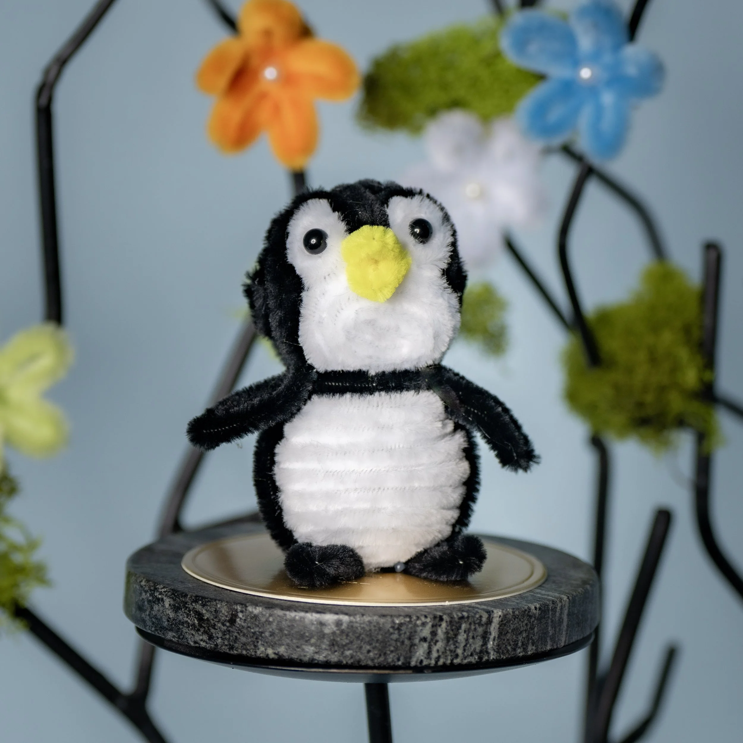 New Animal 5-15-2026 -85.jpg