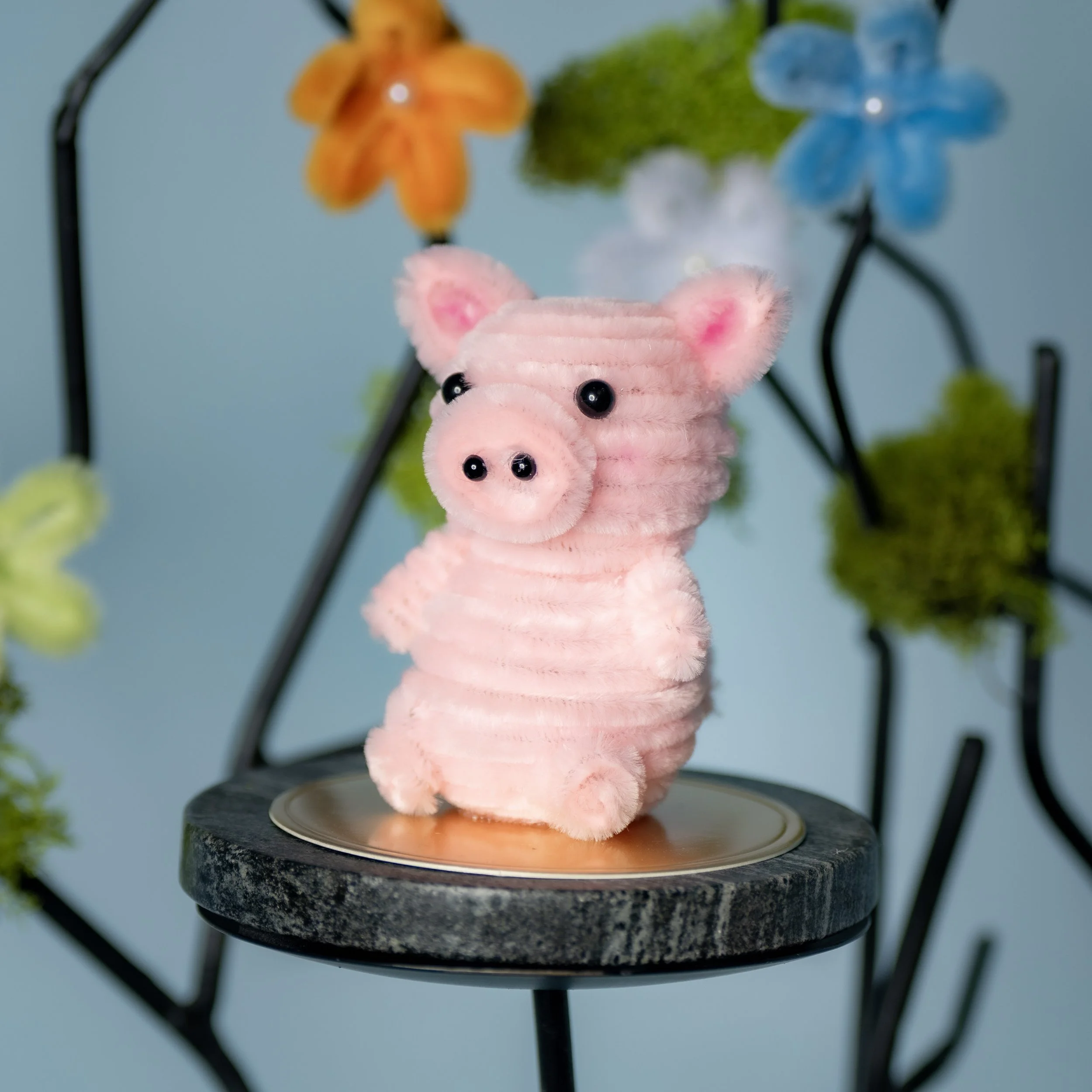 New Animal 5-15-2026 -16.jpg