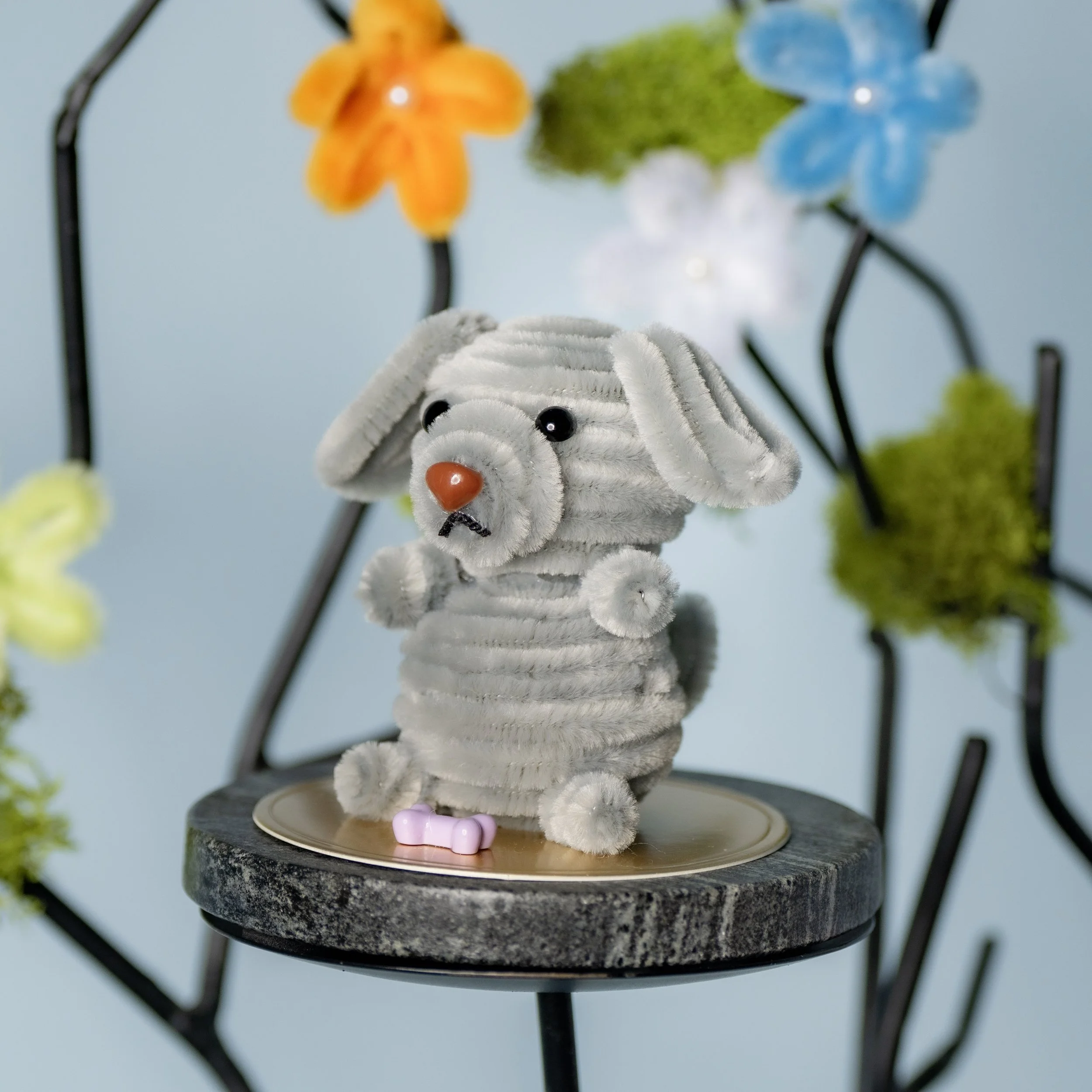 New Animal 5-15-2026 -141.jpg