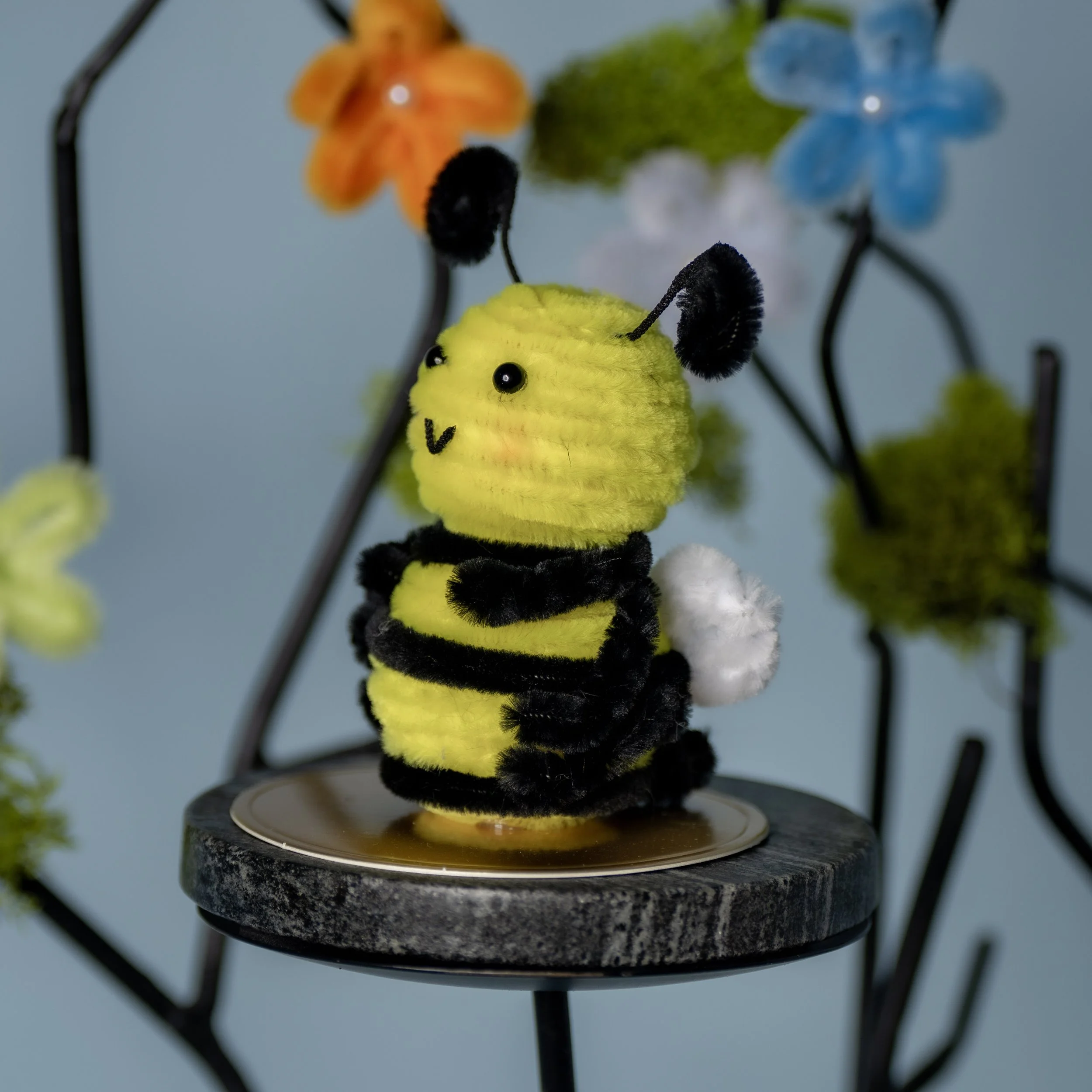 New Animal 5-15-2026 -43.jpg