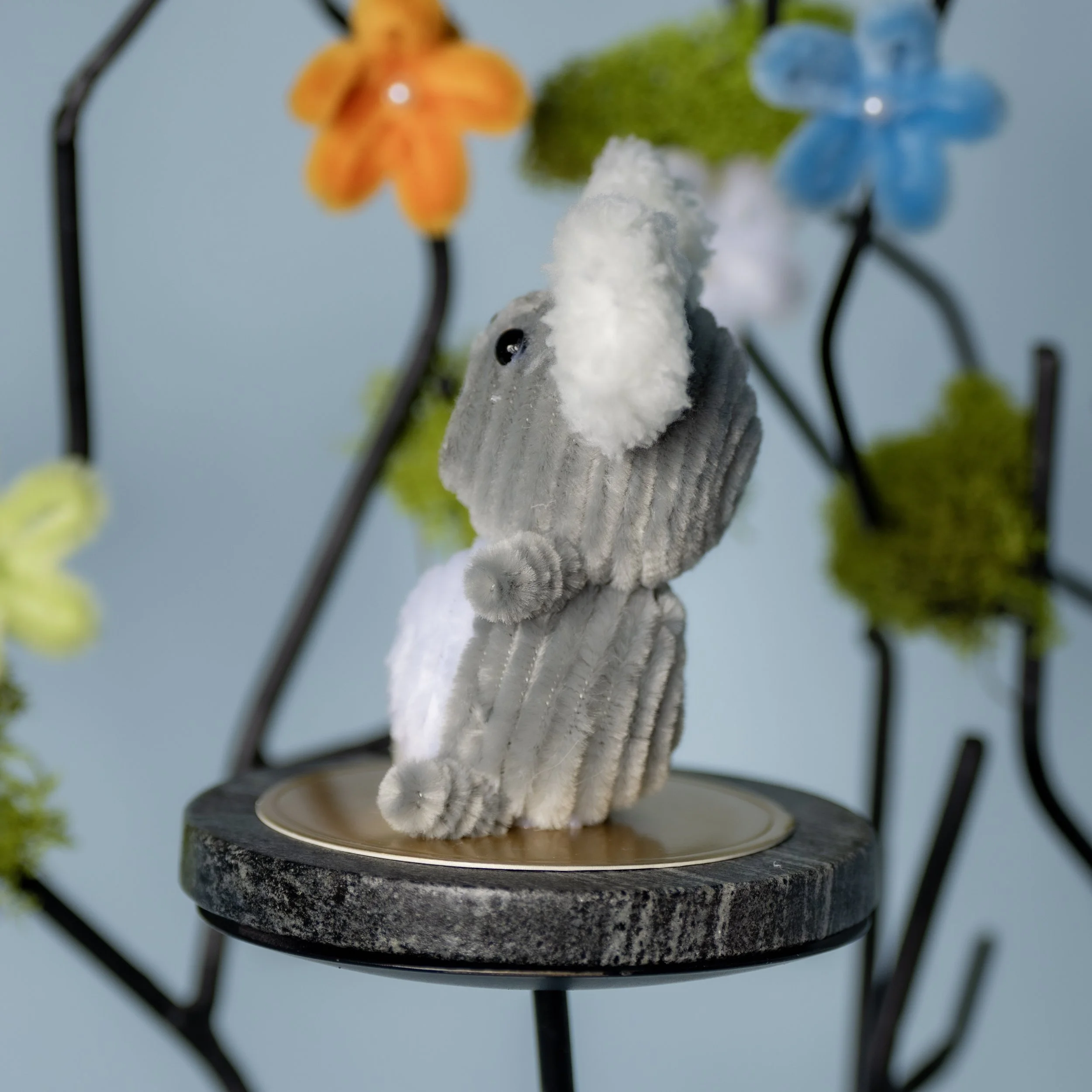 New Animal 5-15-2026 -23.jpg