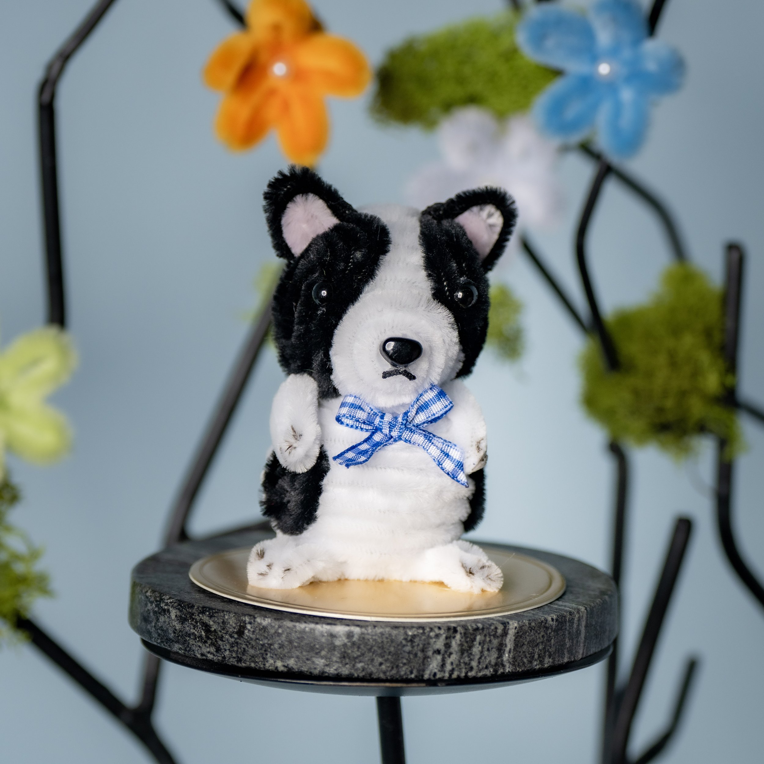New Animal 5-15-2026 -148.jpg