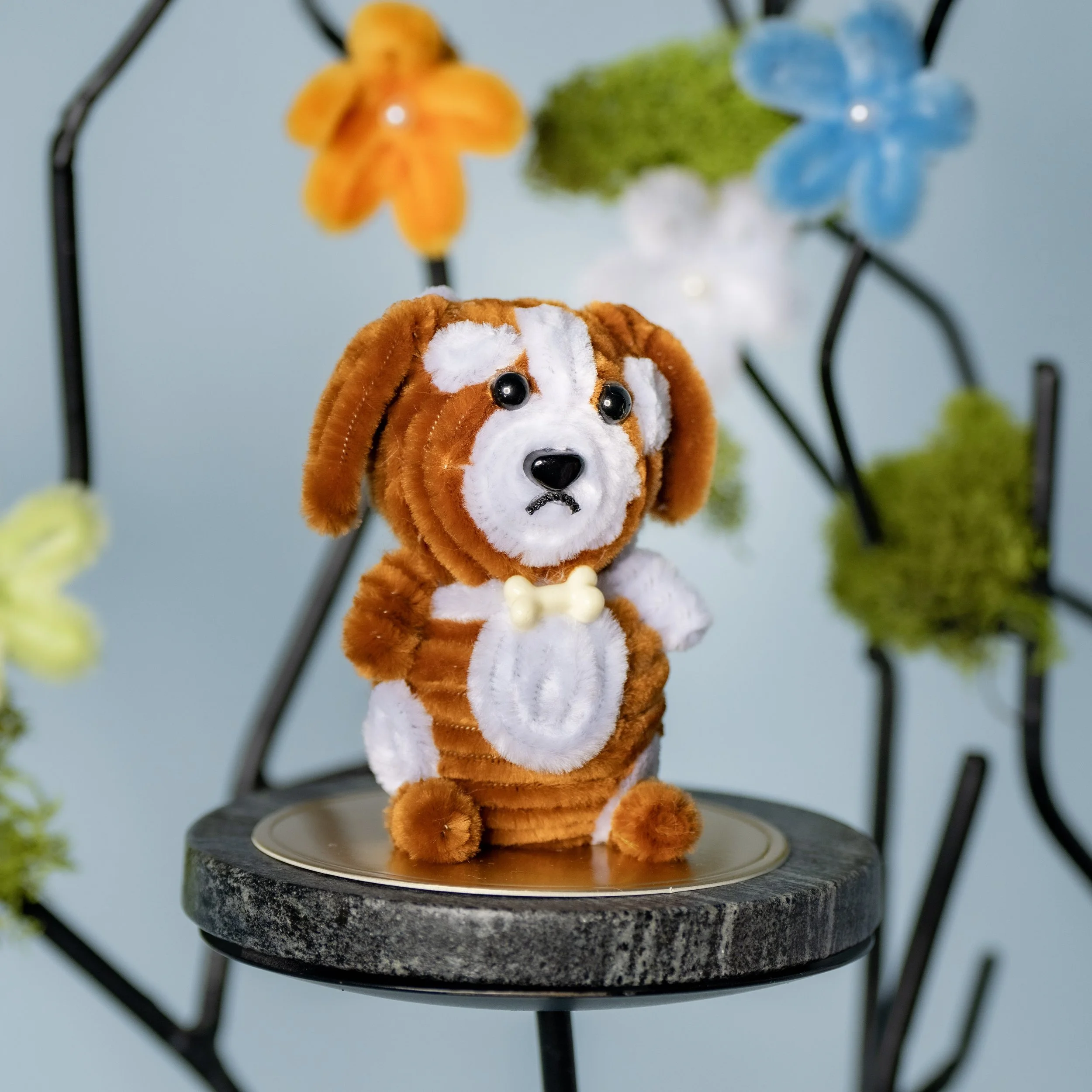 New Animal 5-15-2026 -136.jpg