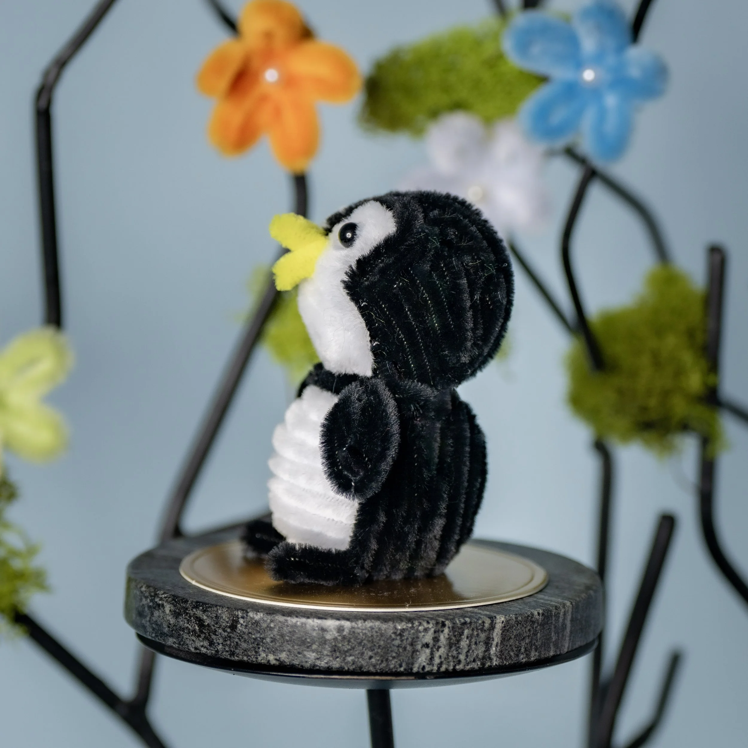 New Animal 5-15-2026 -87.jpg