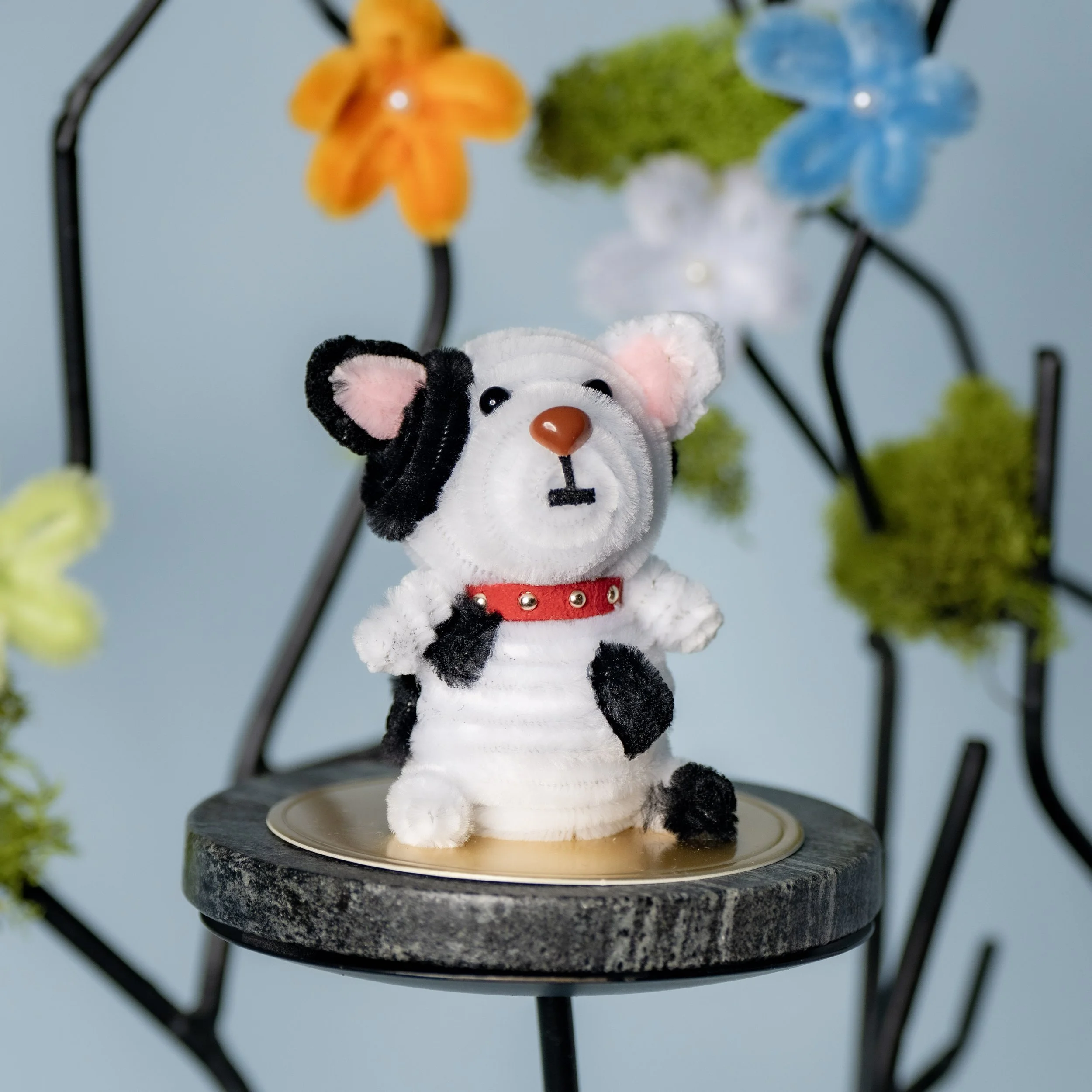 New Animal 5-15-2026 -132.jpg