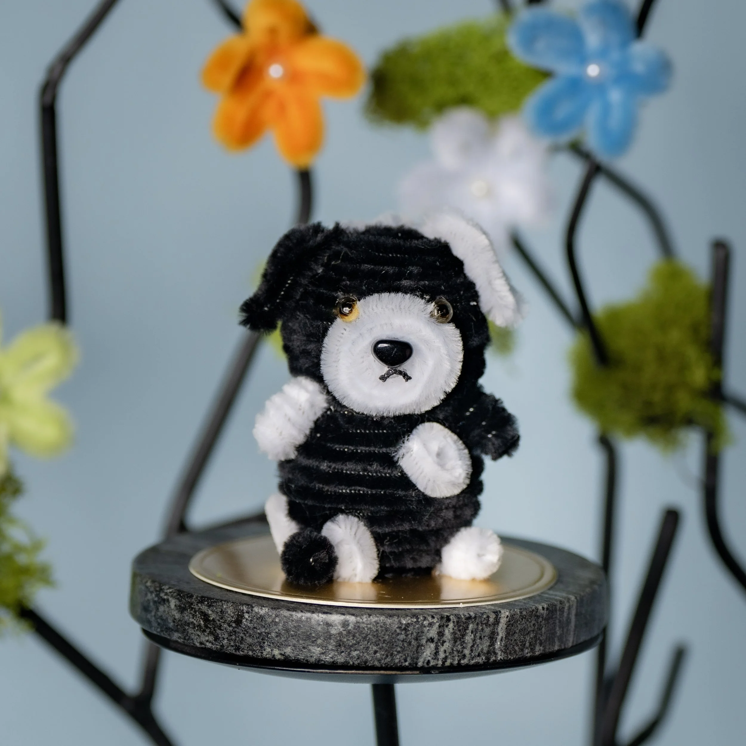 New Animal 5-15-2026 -152.jpg