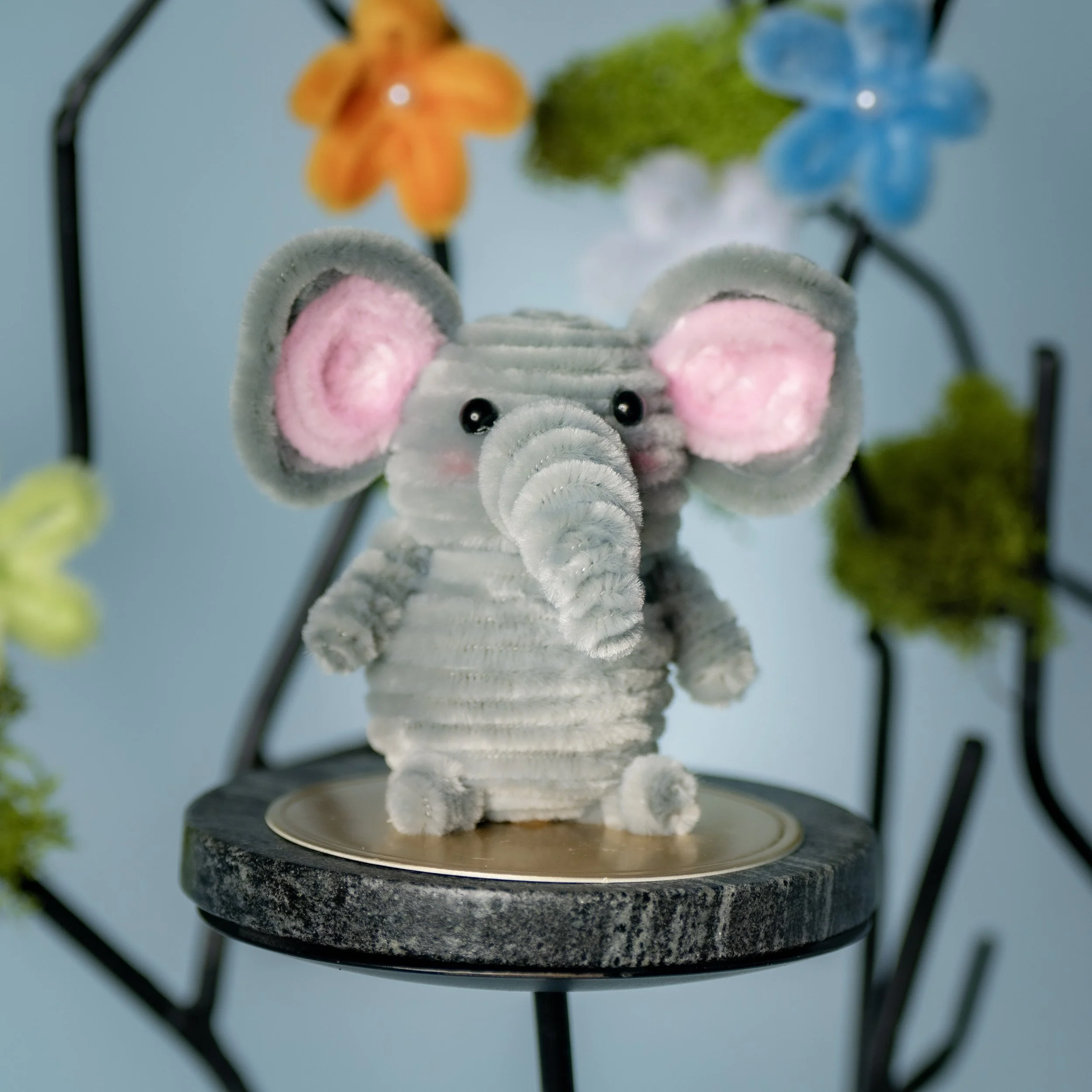 New Animal 5-15-2026 -60.jpg