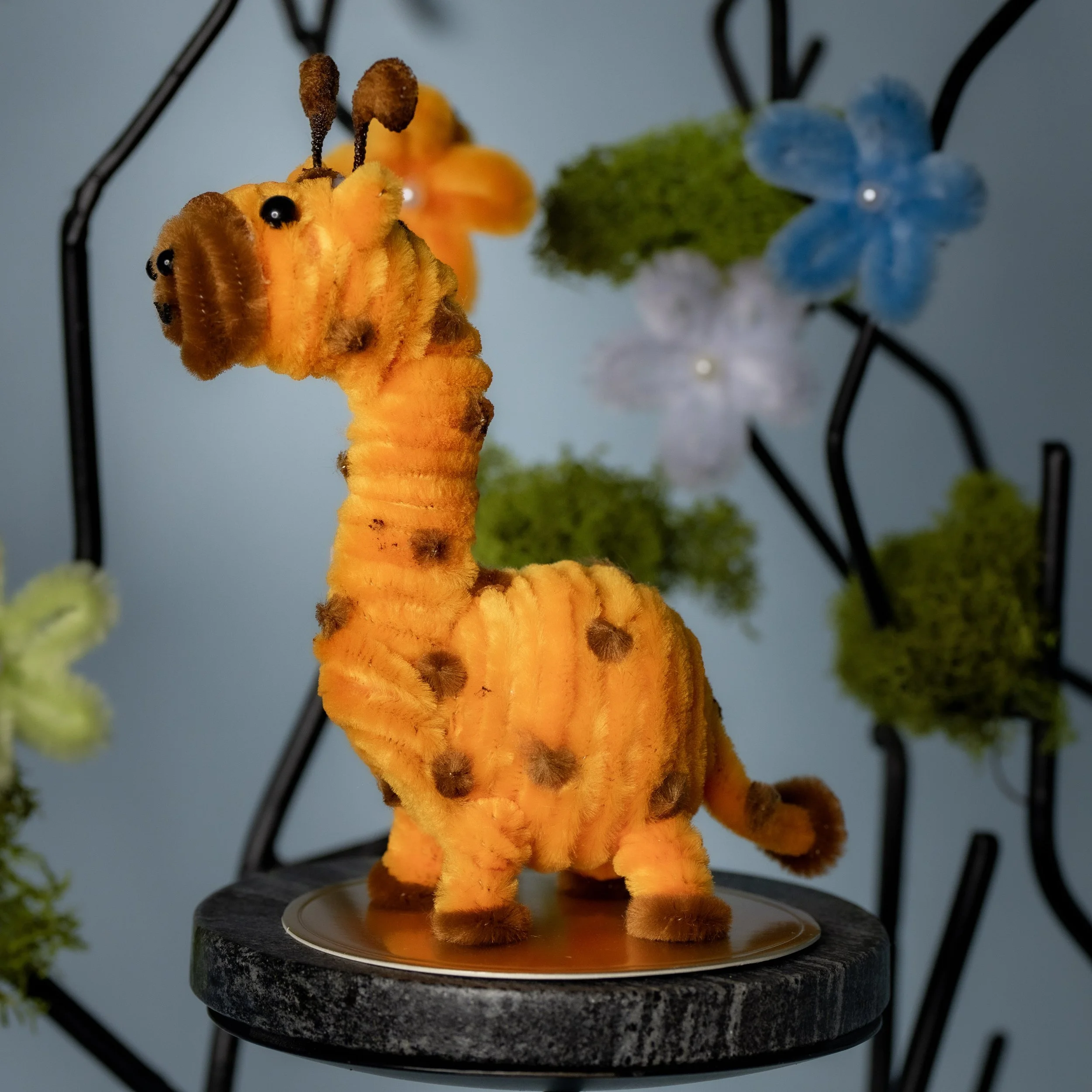 New Animal 5-15-2026 -163.jpg