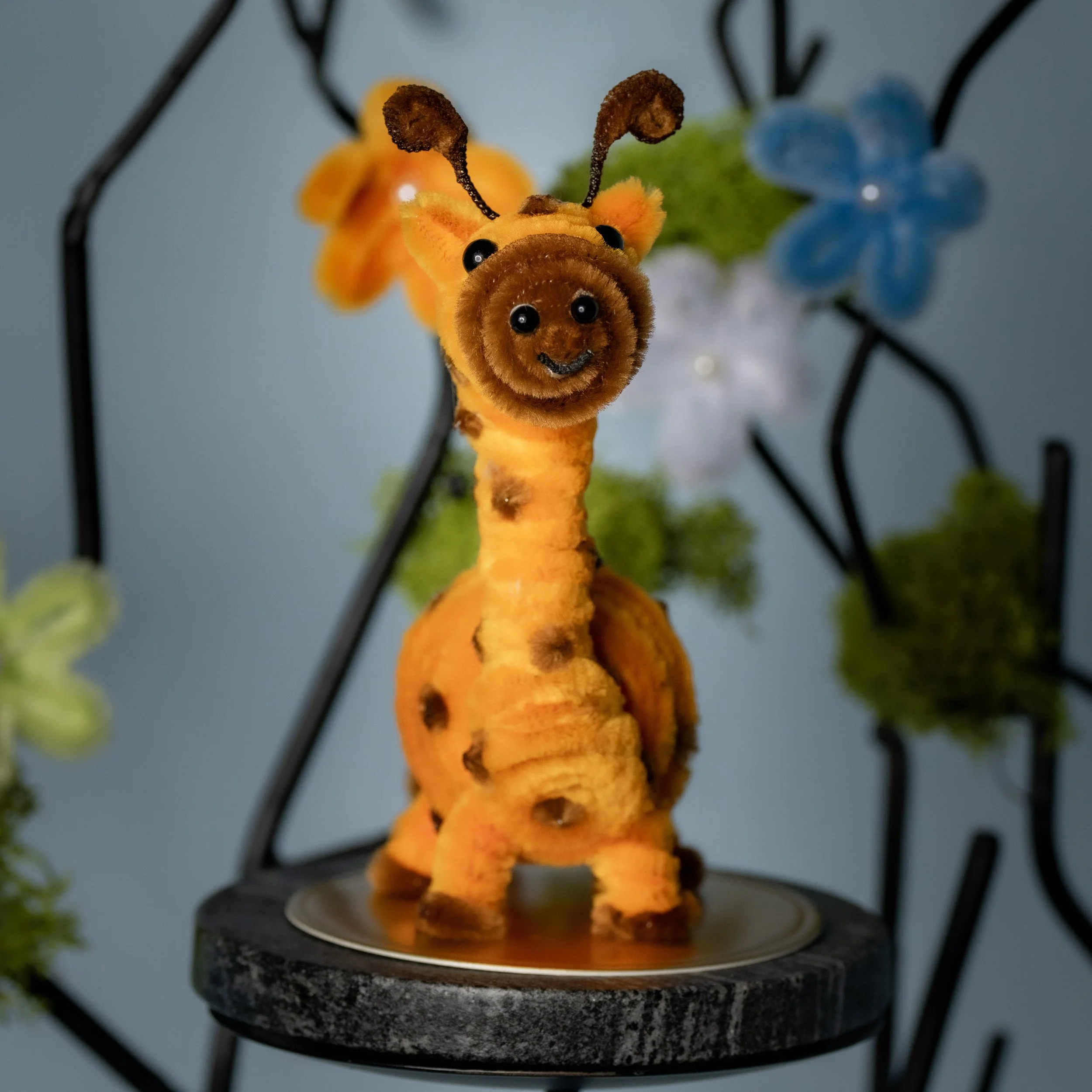 New Animal 5-15-2026 -161.jpg