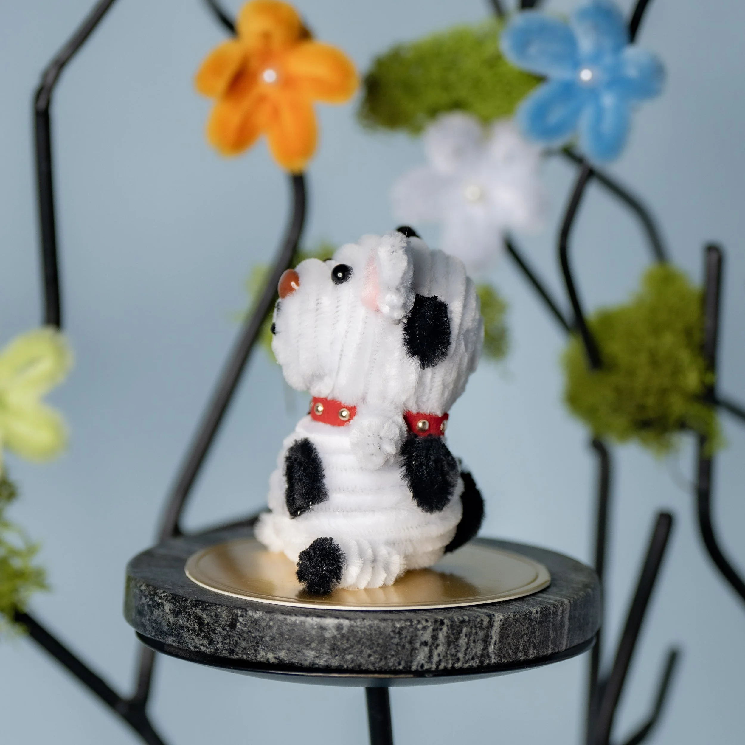 New Animal 5-15-2026 -134.jpg