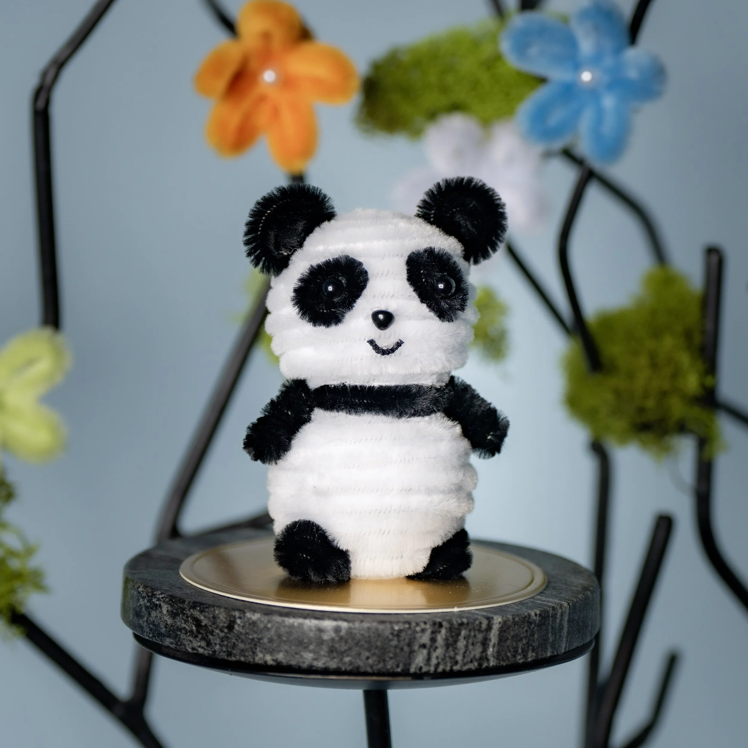 New Animal 5-15-2026 -77.jpg