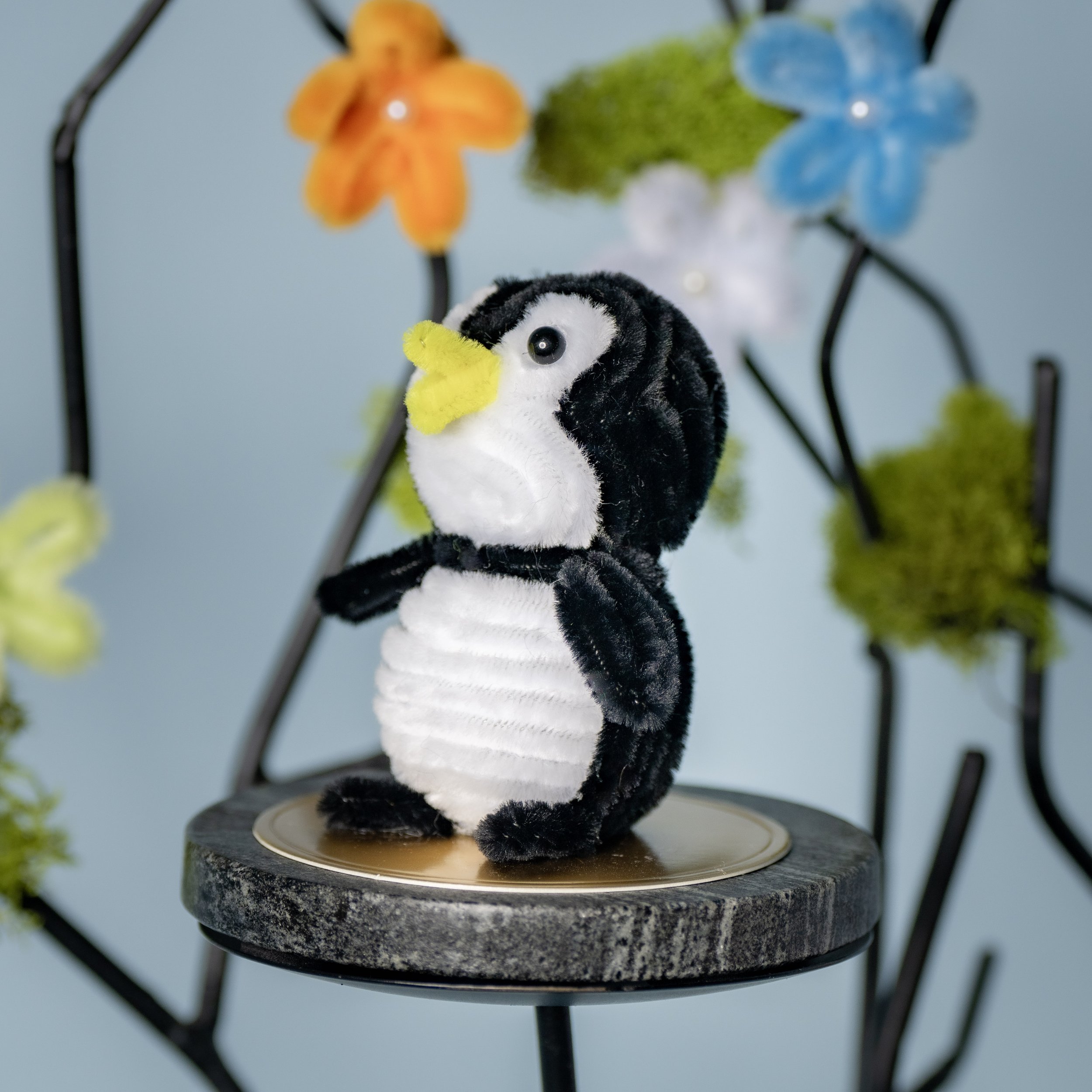 New Animal 5-15-2026 -86.jpg