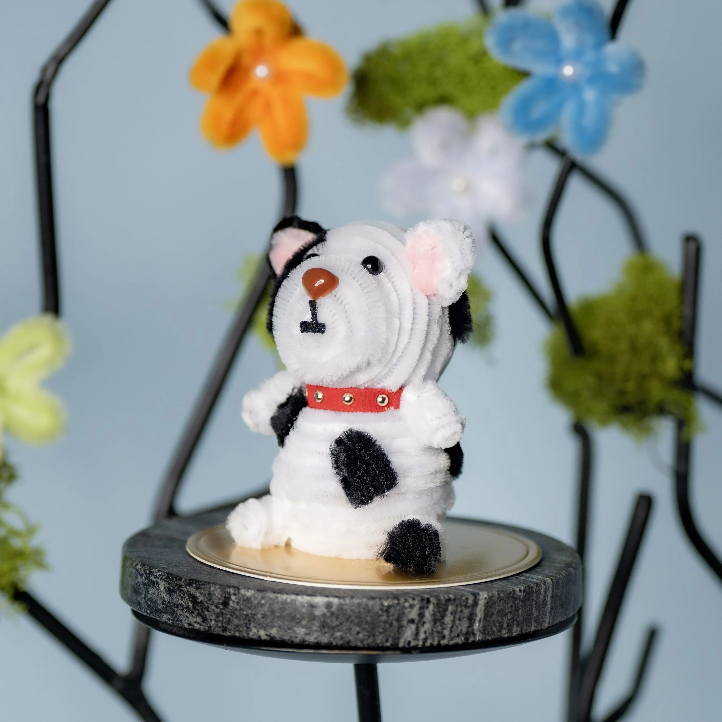 New Animal 5-15-2026 -133.jpg