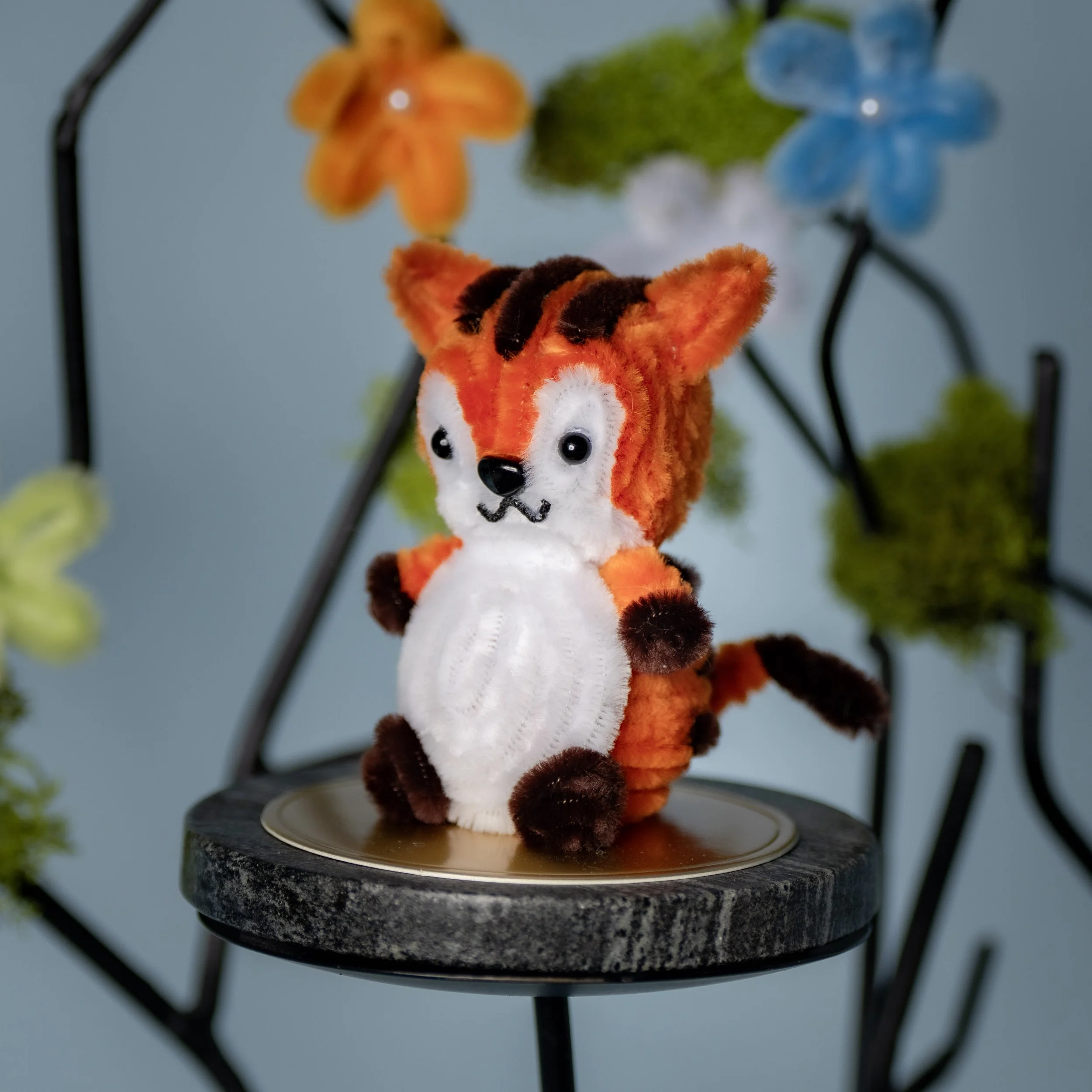 New Animal 5-15-2026 -50.jpg