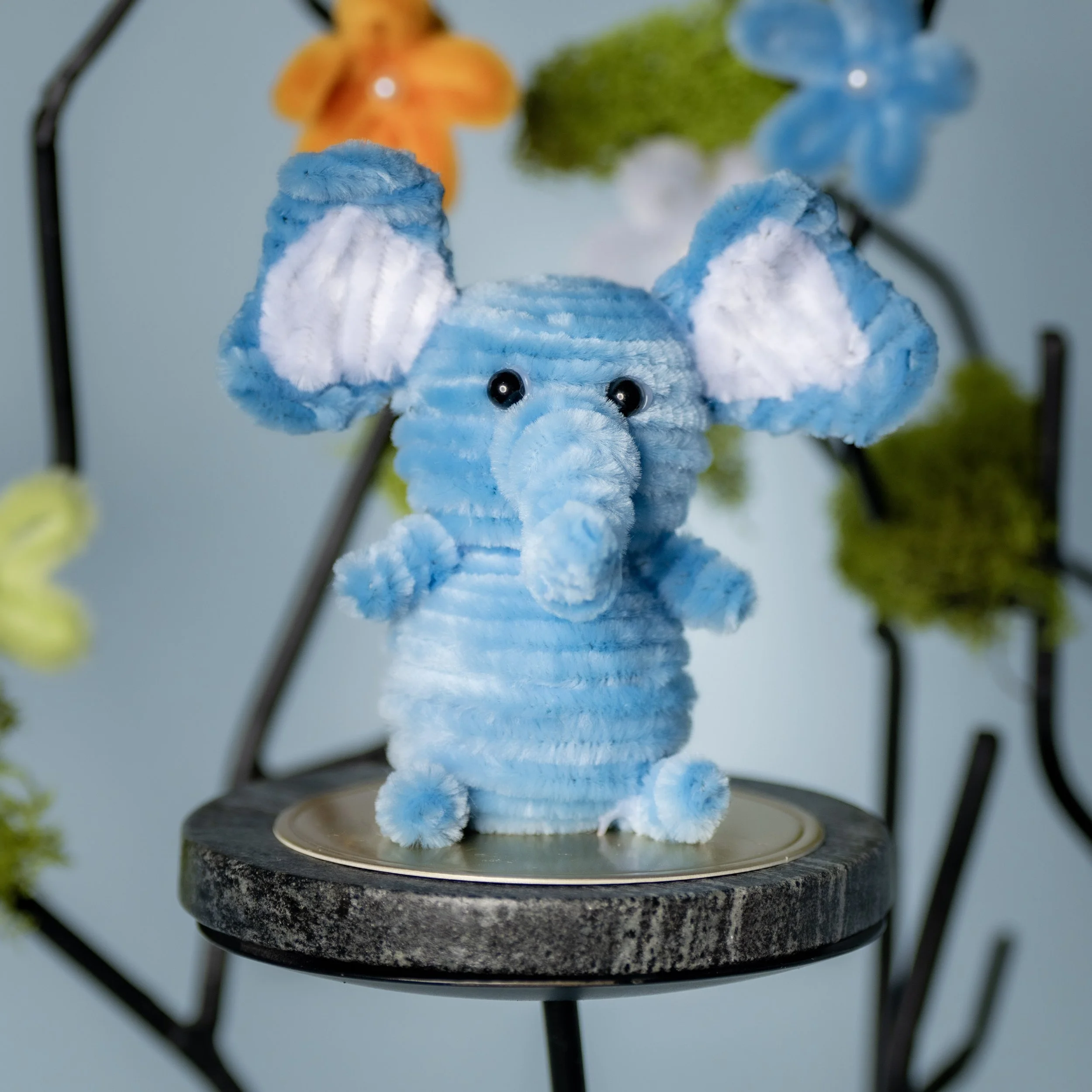 New Animal 5-15-2026 -63.jpg