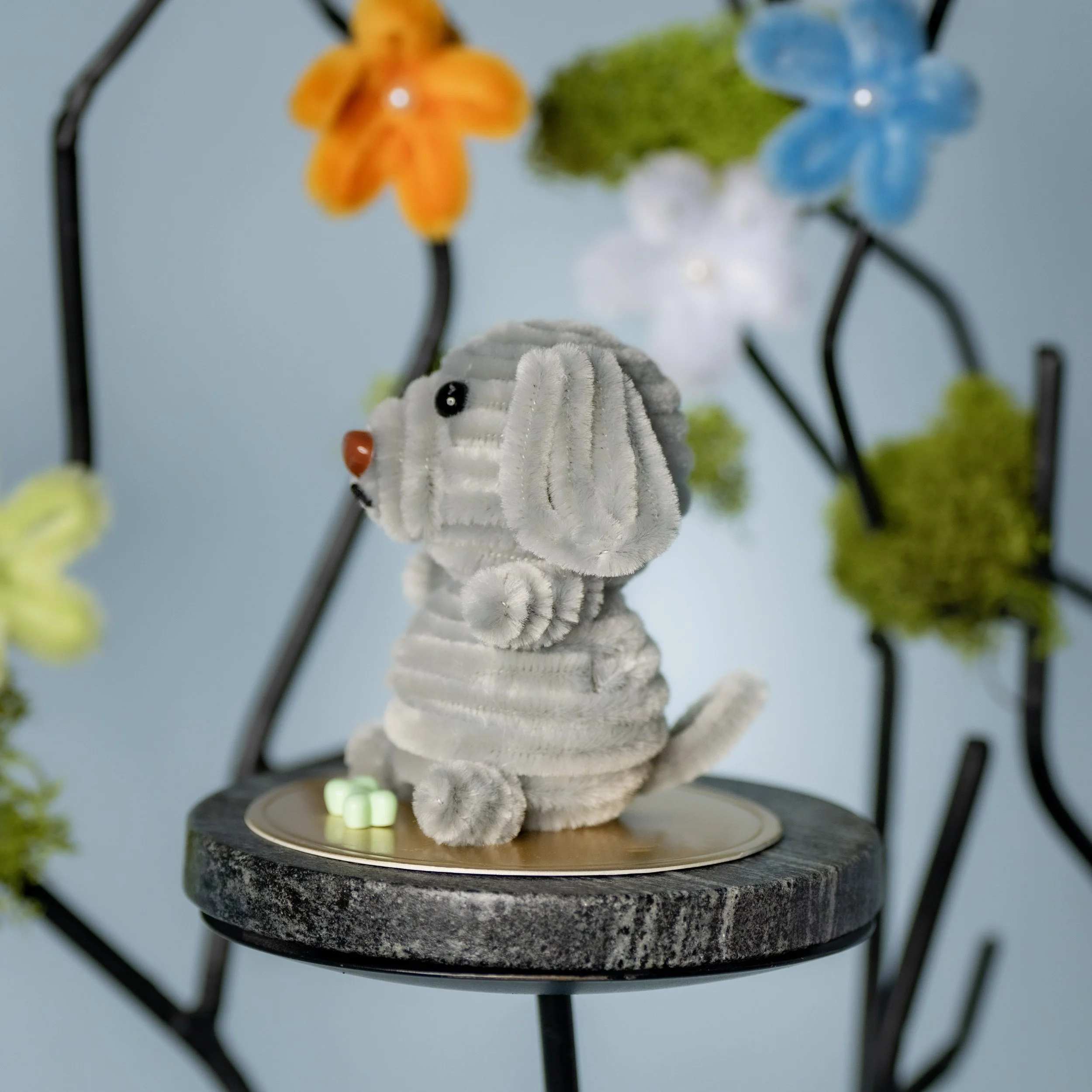 New Animal 5-15-2026 -146.jpg