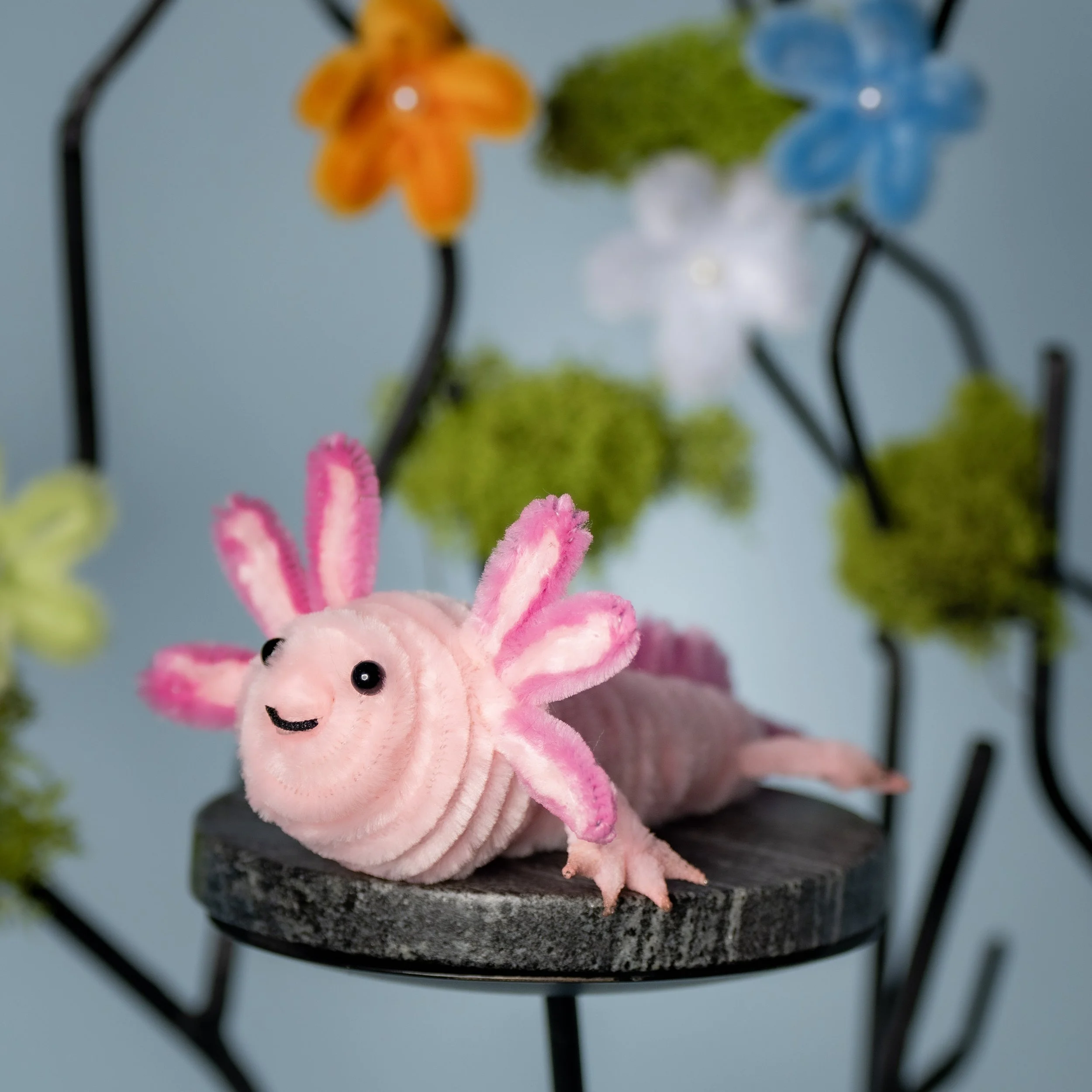 New Animal 5-15-2026 -157.jpg