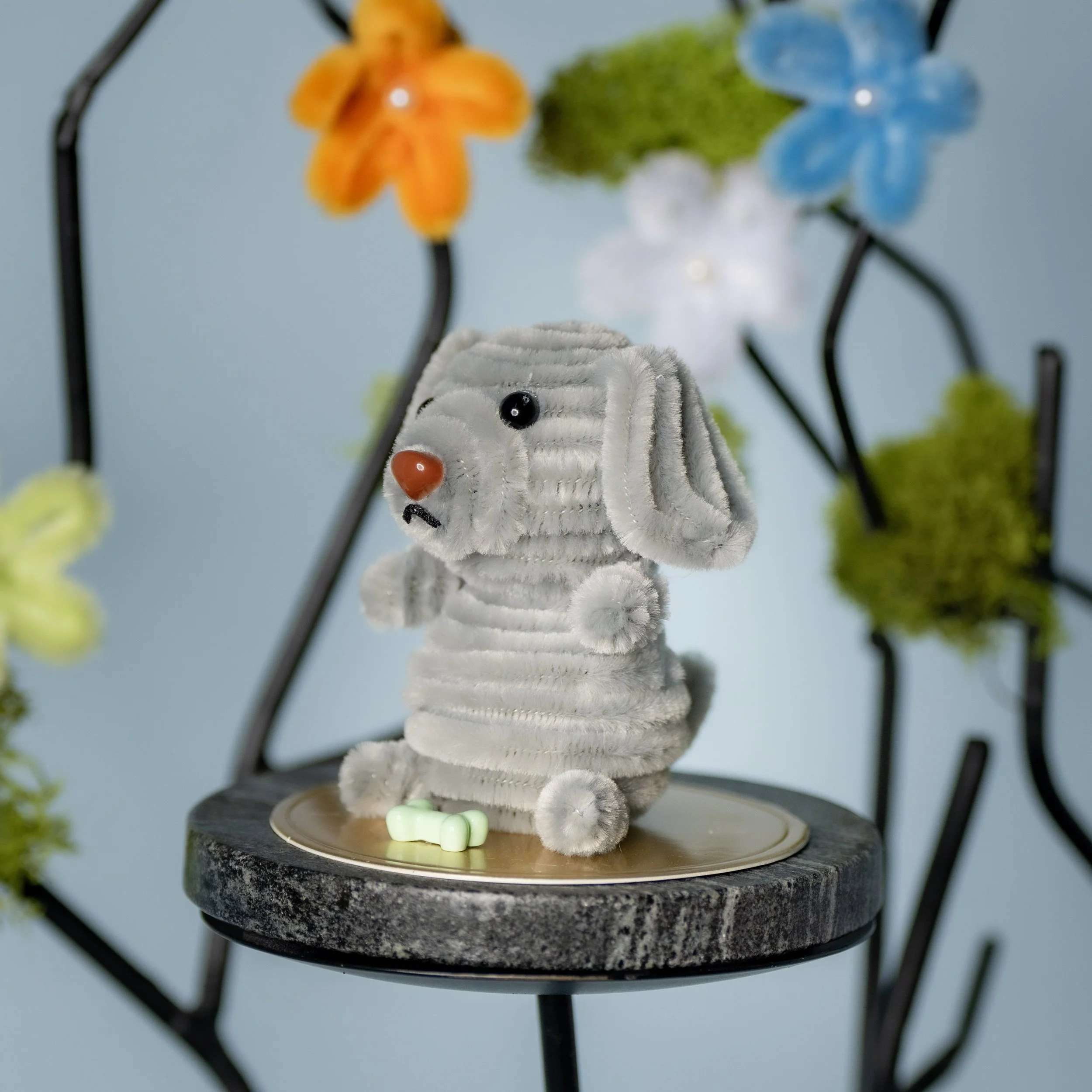 New Animal 5-15-2026 -145.jpg