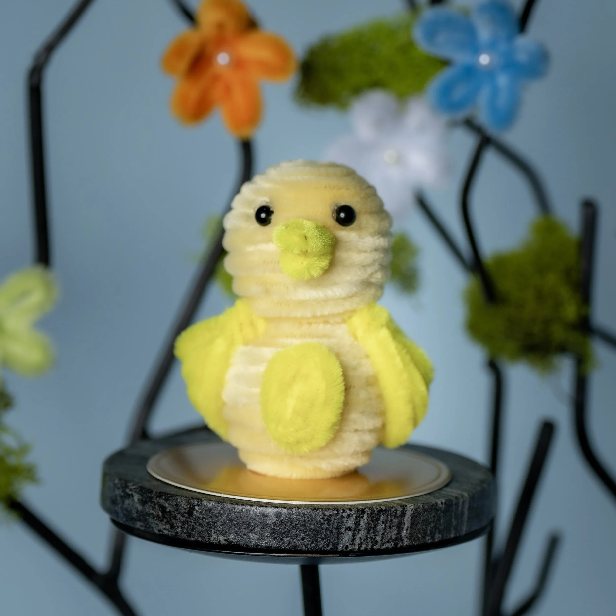 New Animal 5-15-2026 -73.jpg