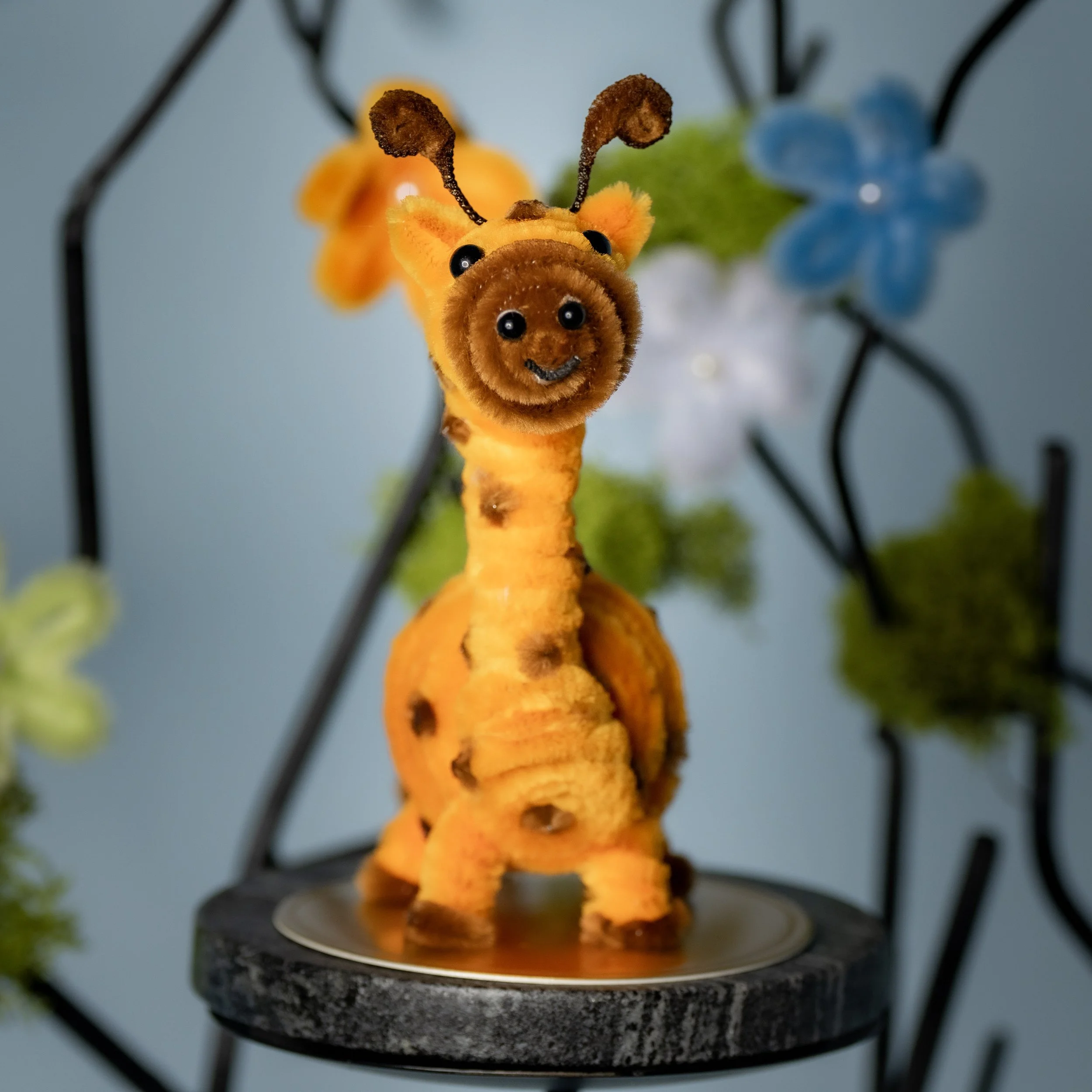 New Animal 5-15-2026 -160.jpg