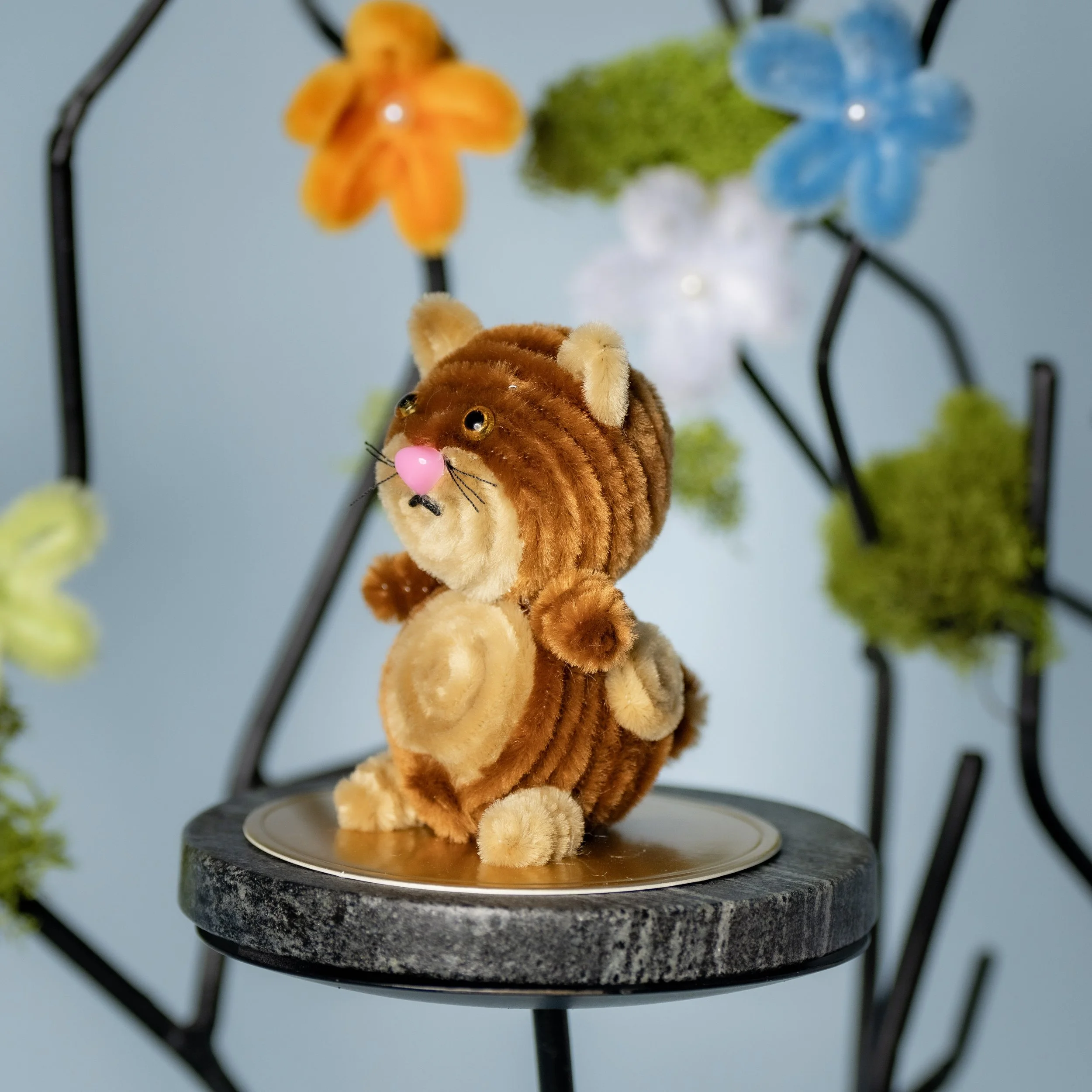 New Animal 5-15-2026 -97.jpg