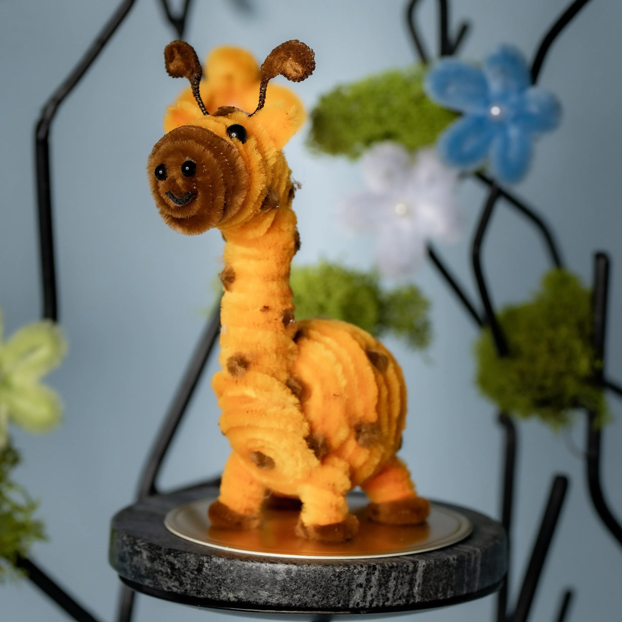 New Animal 5-15-2026 -162.jpg
