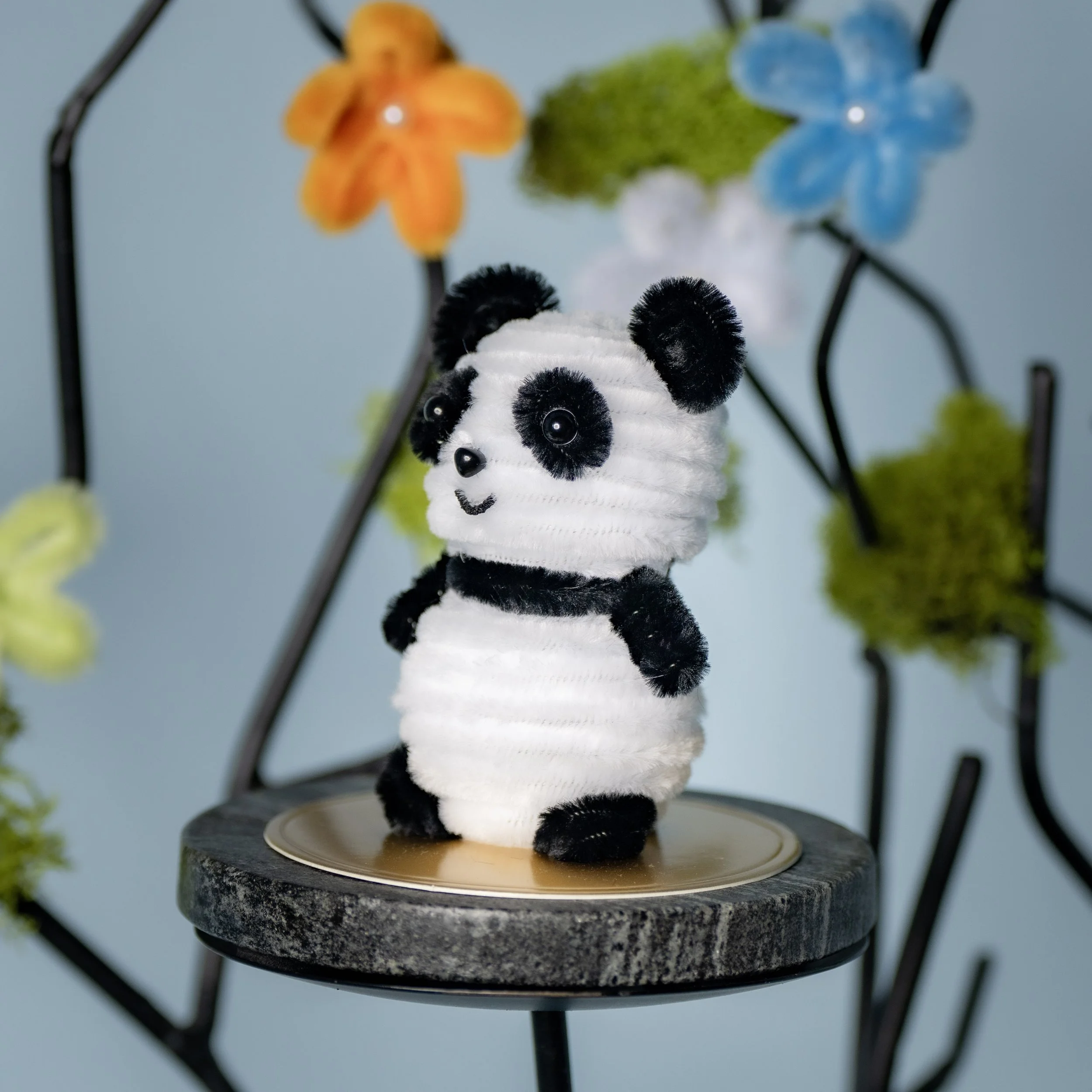 New Animal 5-15-2026 -78.jpg