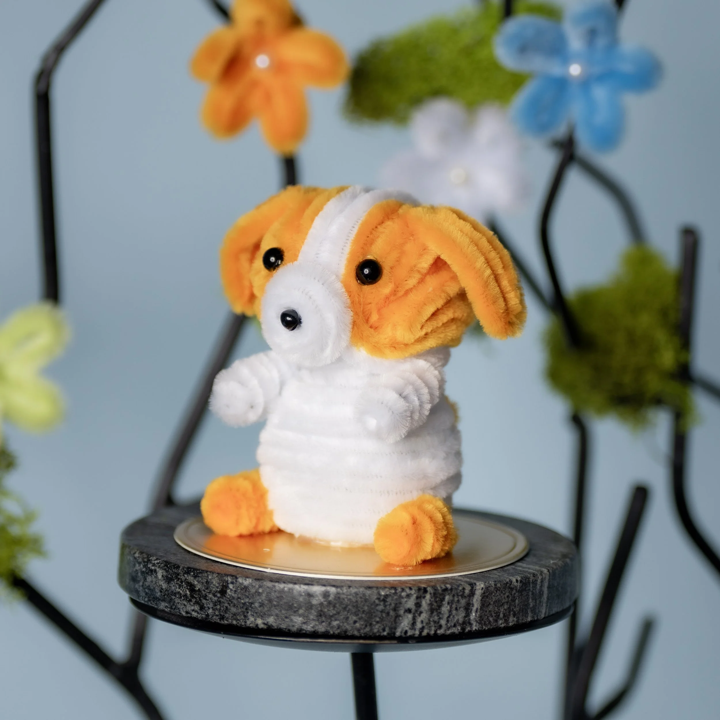New Animal 5-15-2026 -19.jpg