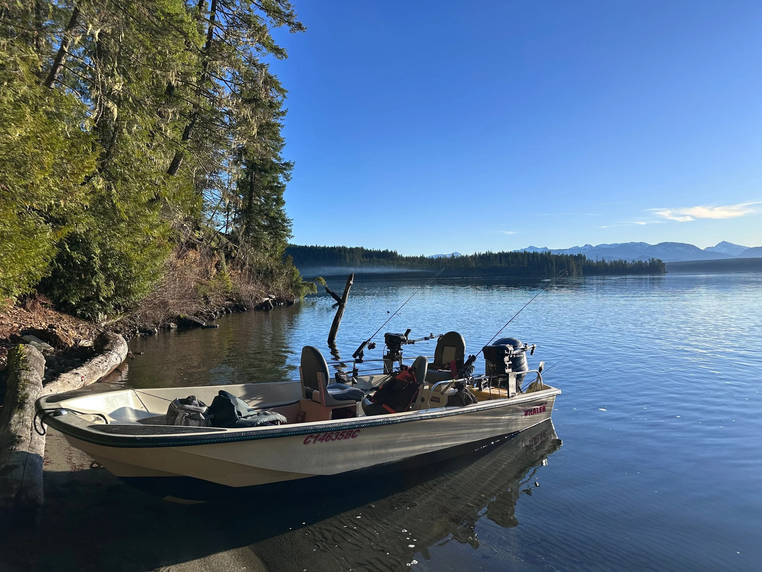 A boat docked on a lakeshore with fishing gear inside, surrounded by trees, with mountains in the distance and a clear blue sky.