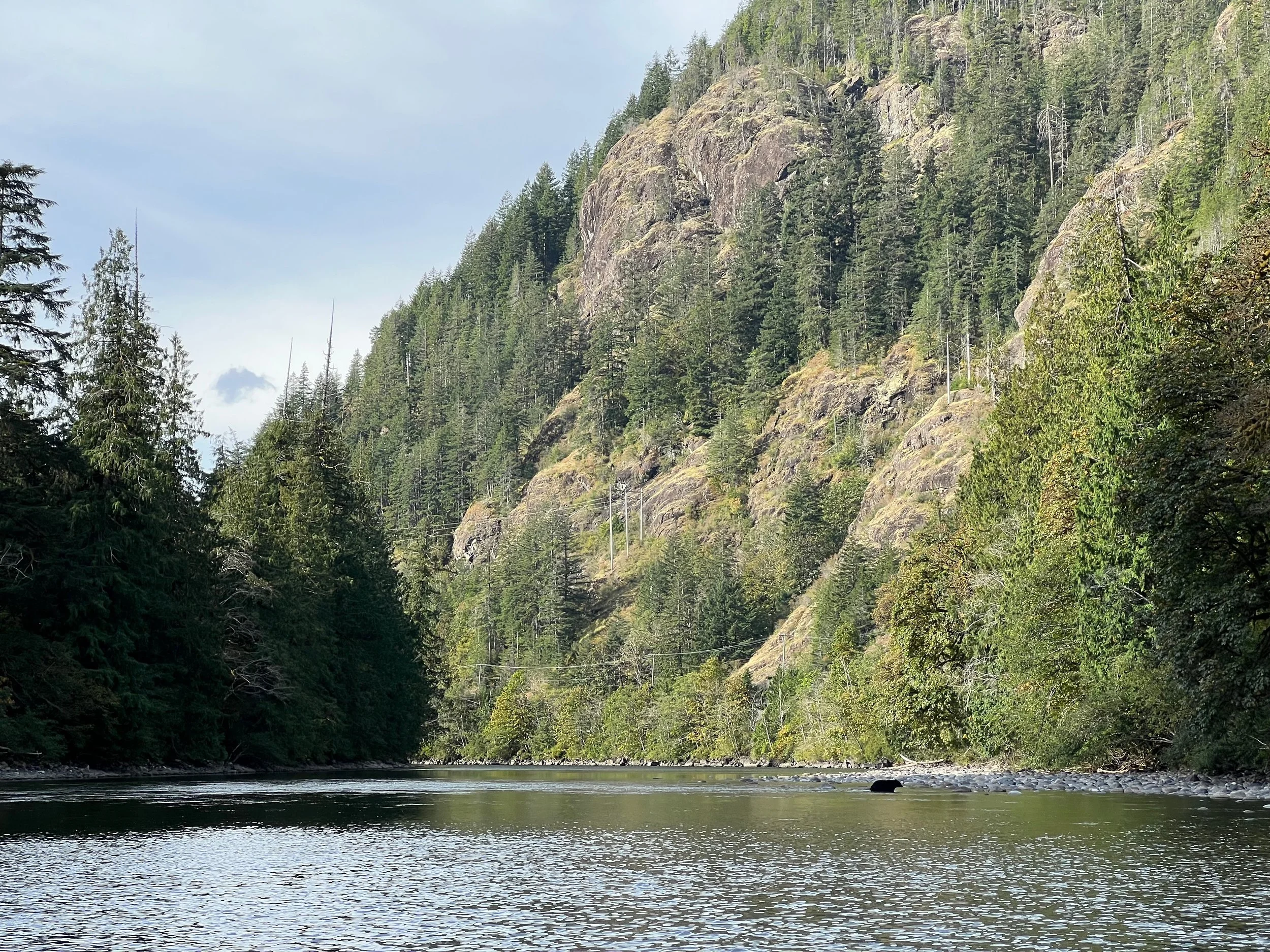 A river flowing through a forested canyon with steep rocky hillsides covered in tall evergreen trees and a partly cloudy sky.