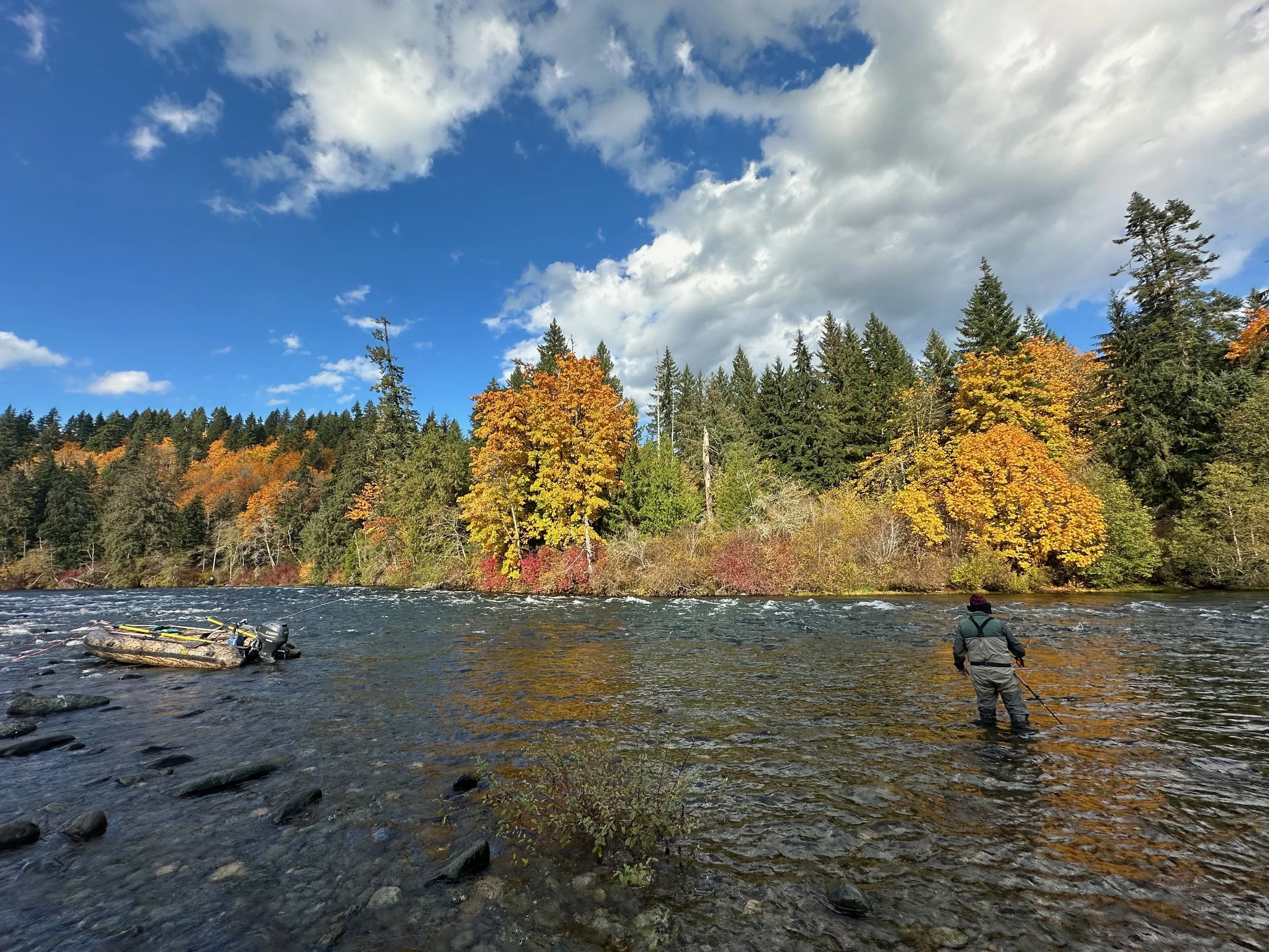 Person fishing in a river with trees showing fall colors under a partly cloudy sky.