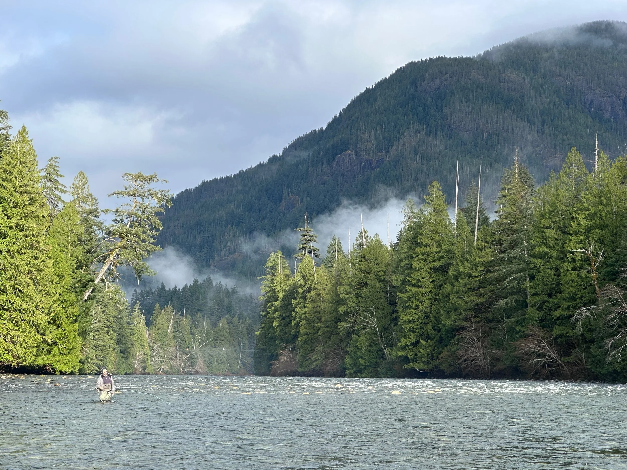 A person fishing in a river surrounded by green trees with a mountain in the background under a cloudy sky.