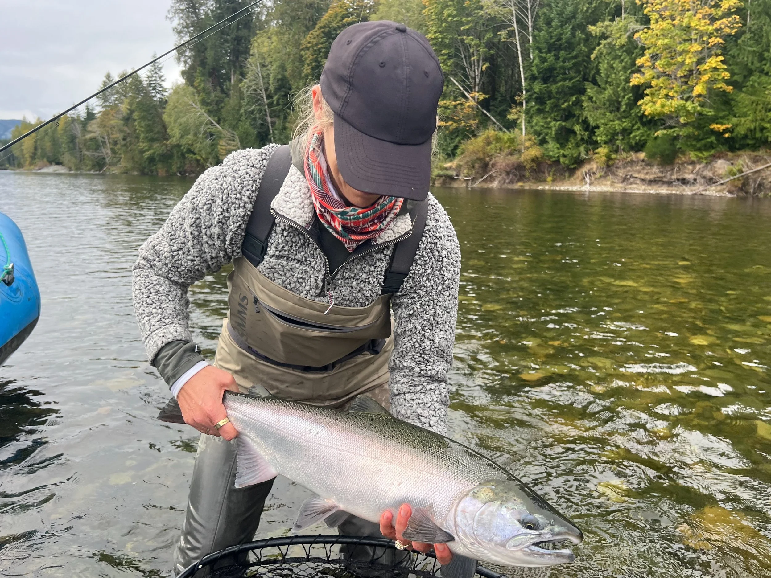 A person wearing a black cap, patterned neck gaiter, gray fleece jacket, and waders holding a large coho salmon fish in a river surrounded by green trees and rocks.