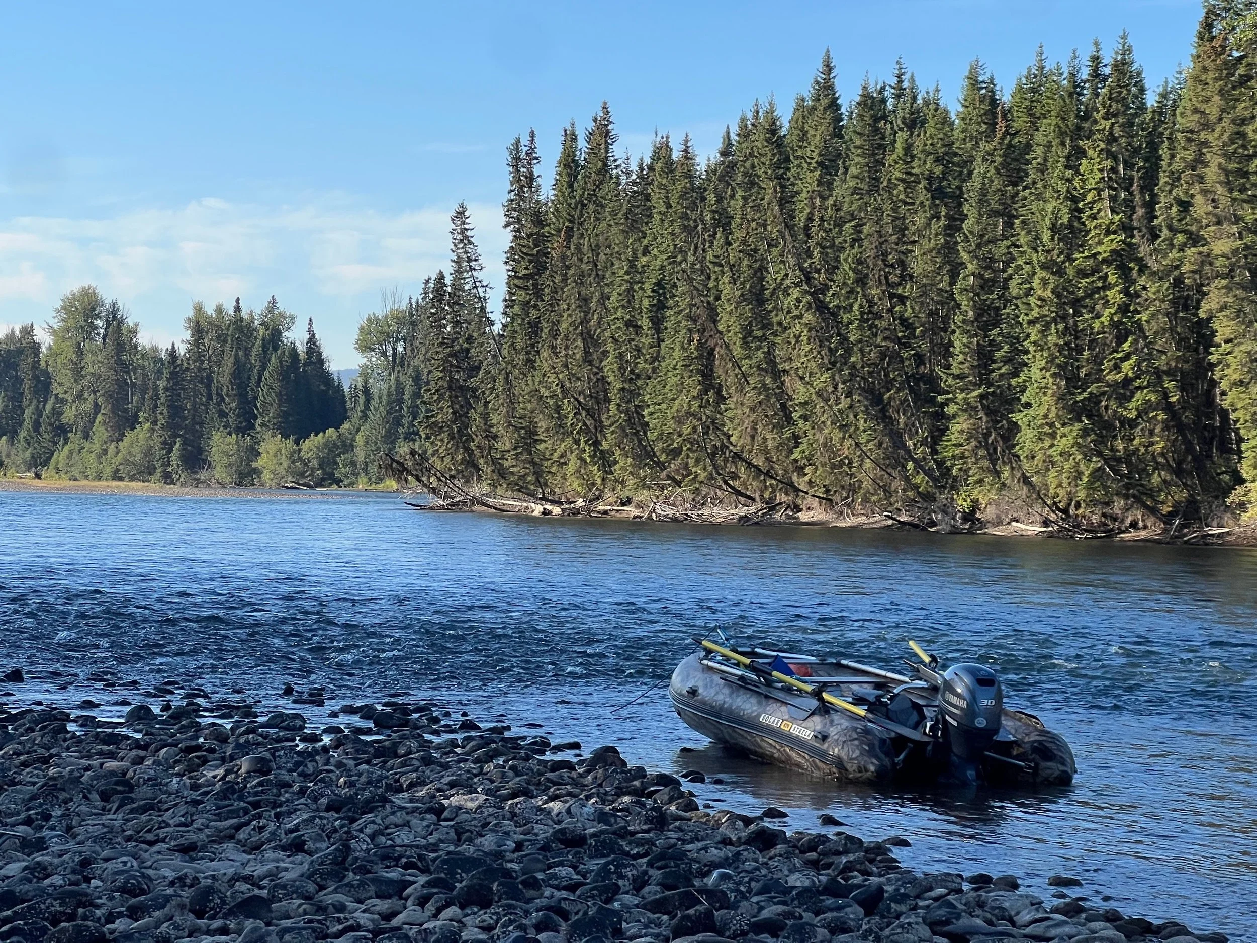 A riverbank with a small inflatable boat equipped with an outboard motor and paddles, surrounded by pebbles, with dense evergreen trees and a blue sky in the background.
