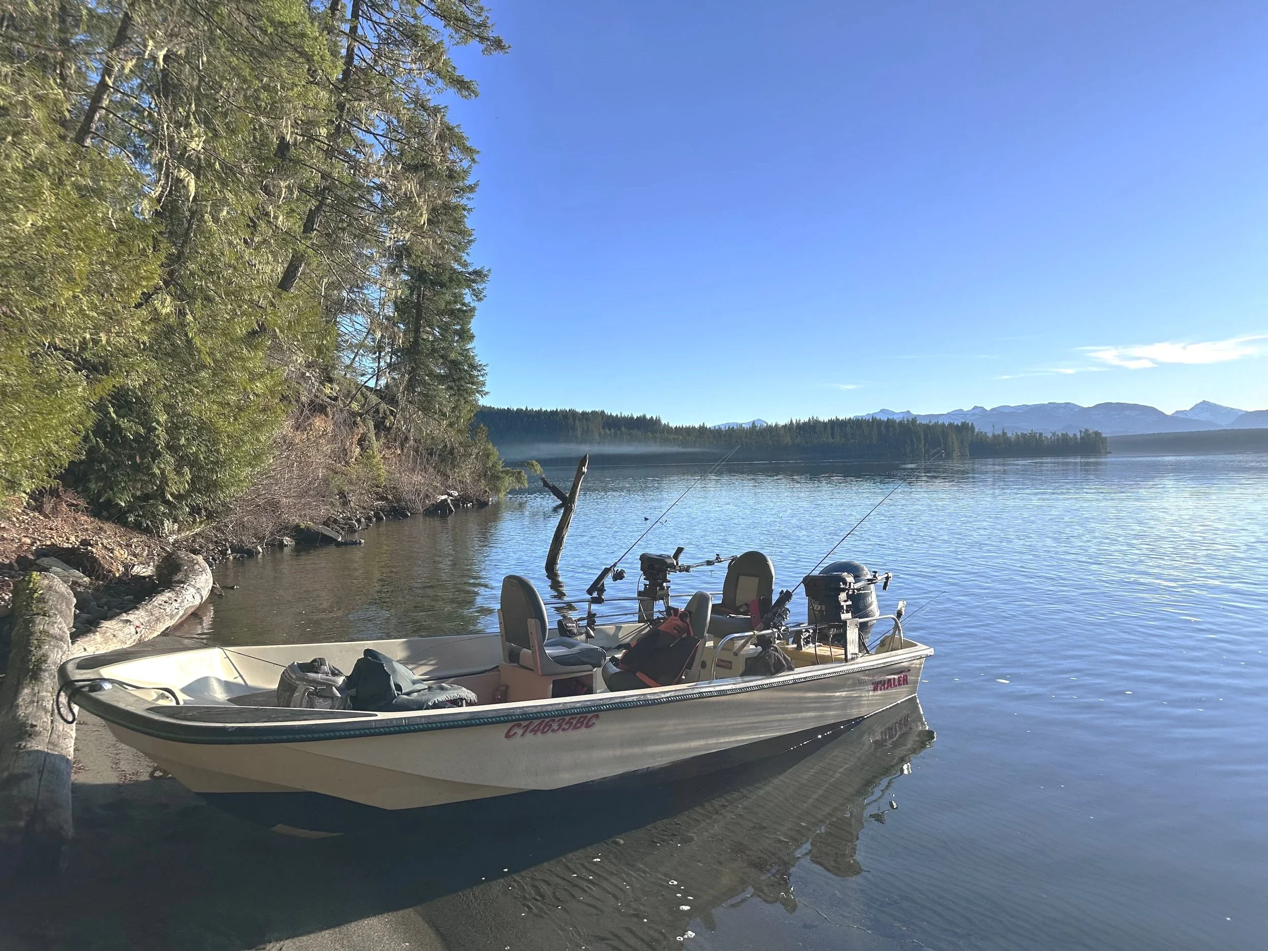 A small boat moored on the shore of a calm lake, with fishing poles in the water, surrounded by trees and mountains under a clear blue sky.