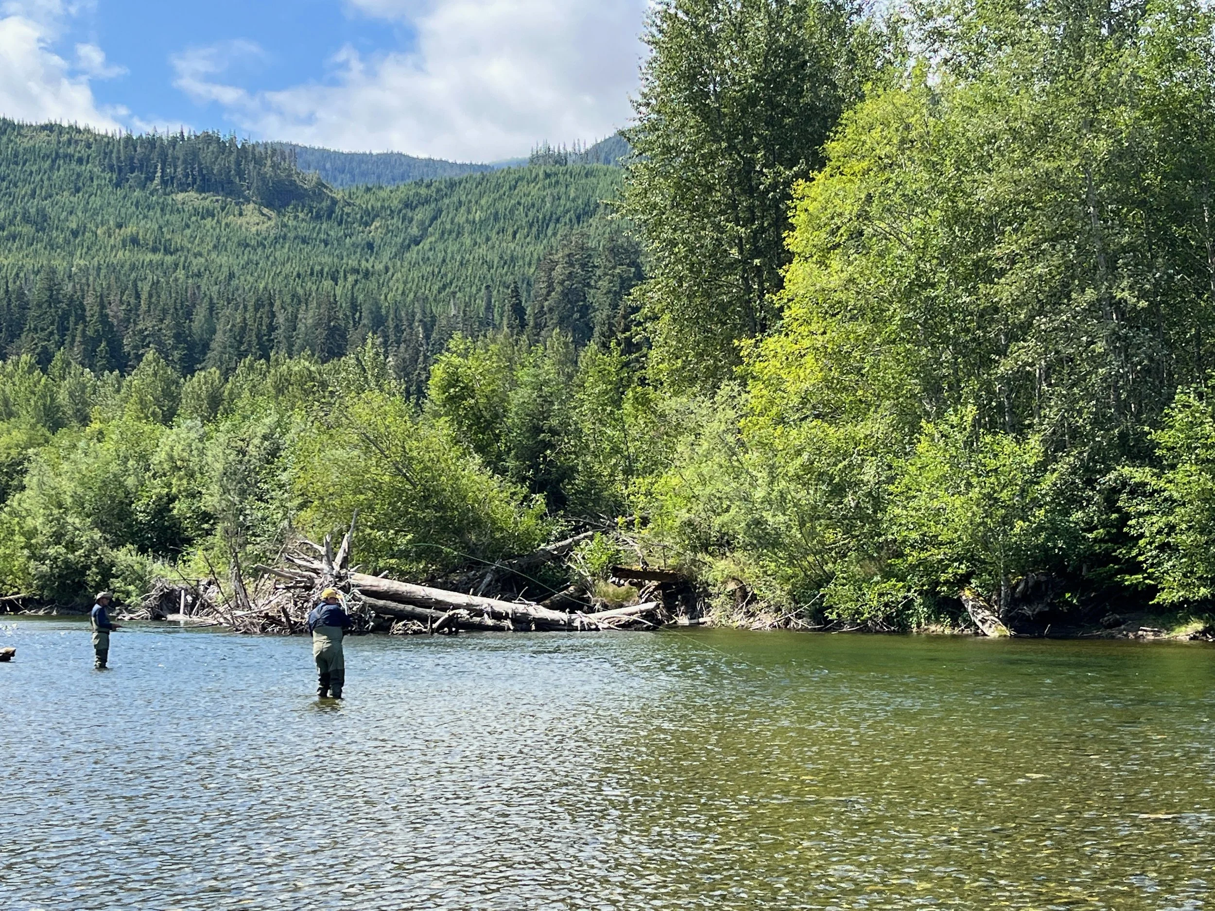 Two people fishing in a river with a forested hillside and cloudy sky in the background.