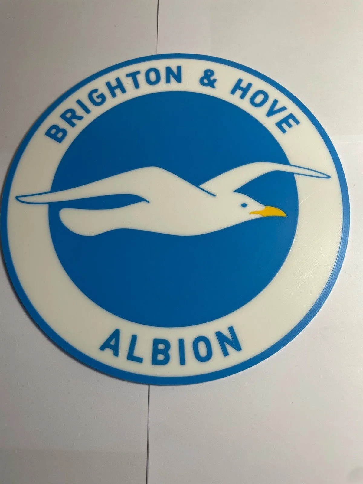 Brighton & Hove Albion badge 3D wall decor.